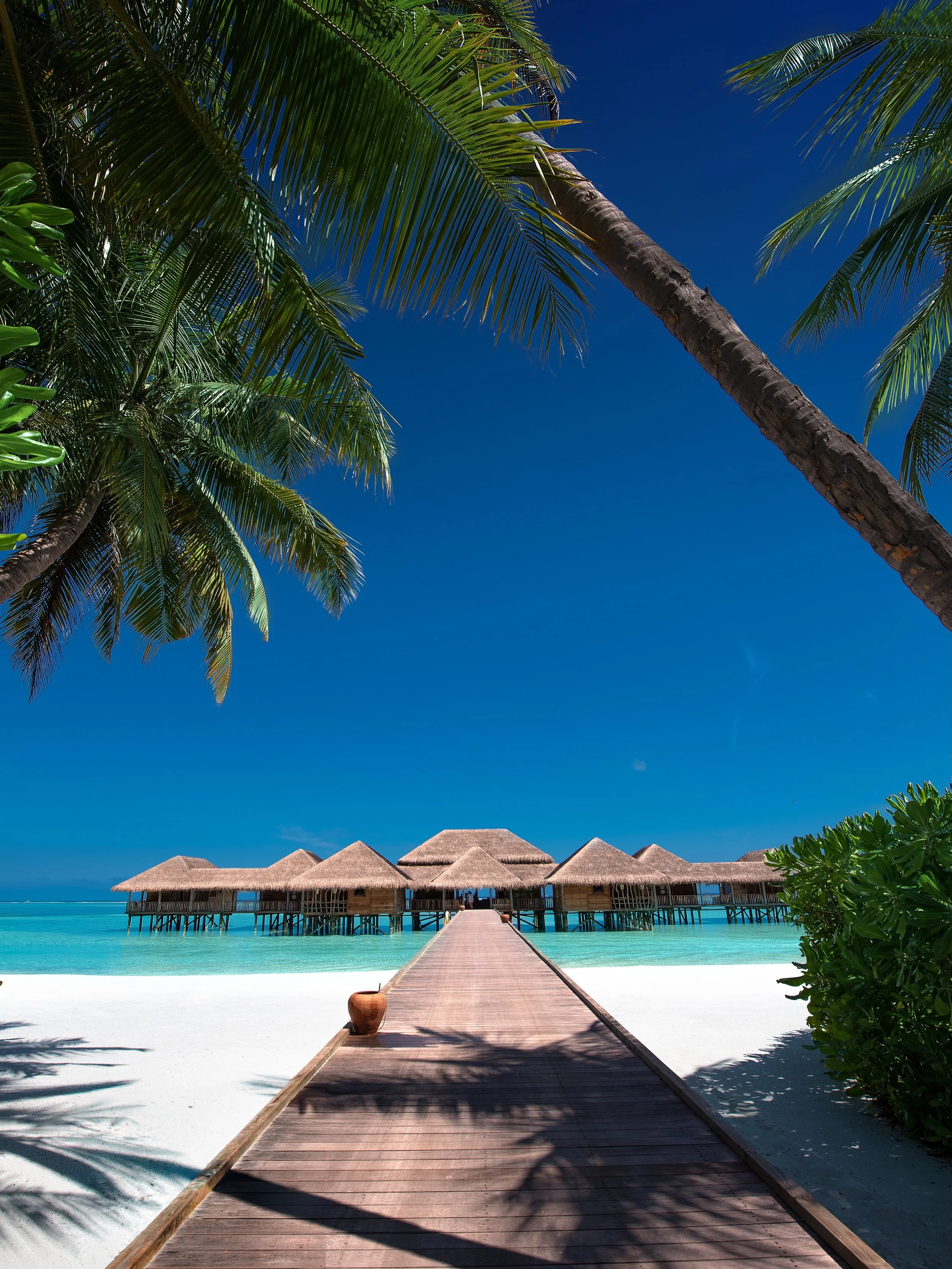 Meera Spa at Gili Lankanfushi &mdash; where the journey to tranquillity begins. Surrounded by swaying palms, turquoise waters and endless Maldivian skies. 🌴✨