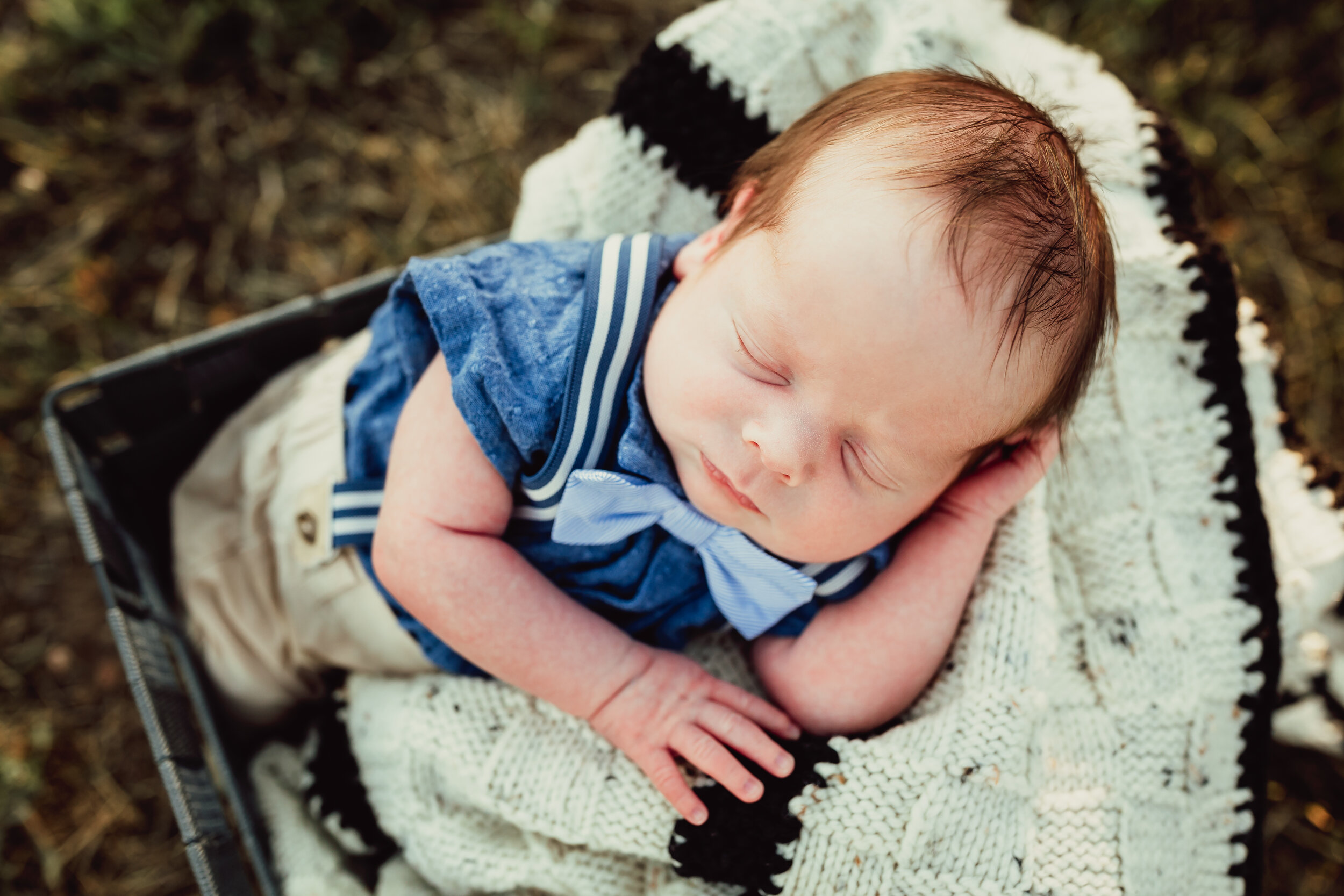 IMG_8042-Edit.jpg