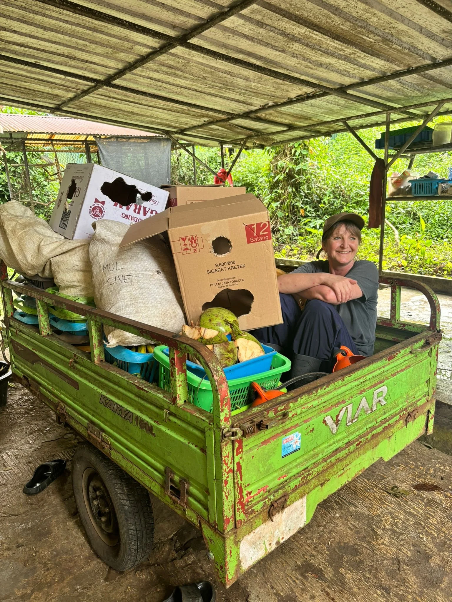 Kath’s Jungle Diary: Talking to turtles and avoiding large scorpions – a night walk near the rescue centre