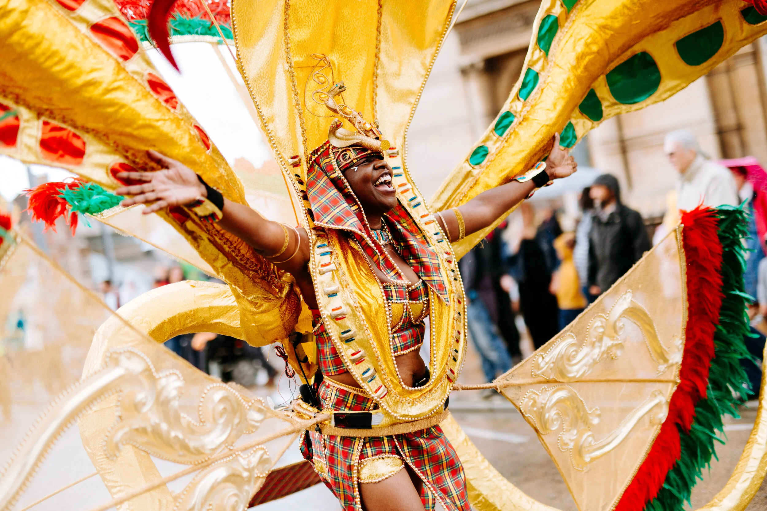 Council issues urgent appeal to Government to ‘help protect our culture’