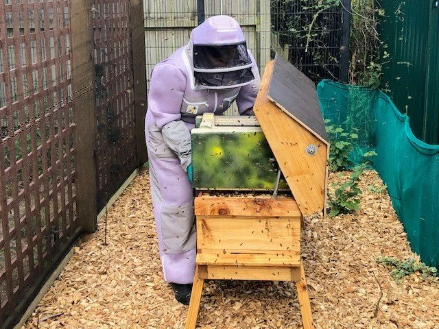 Arco’s busy bees create wildlife haven in heart of industrial complex