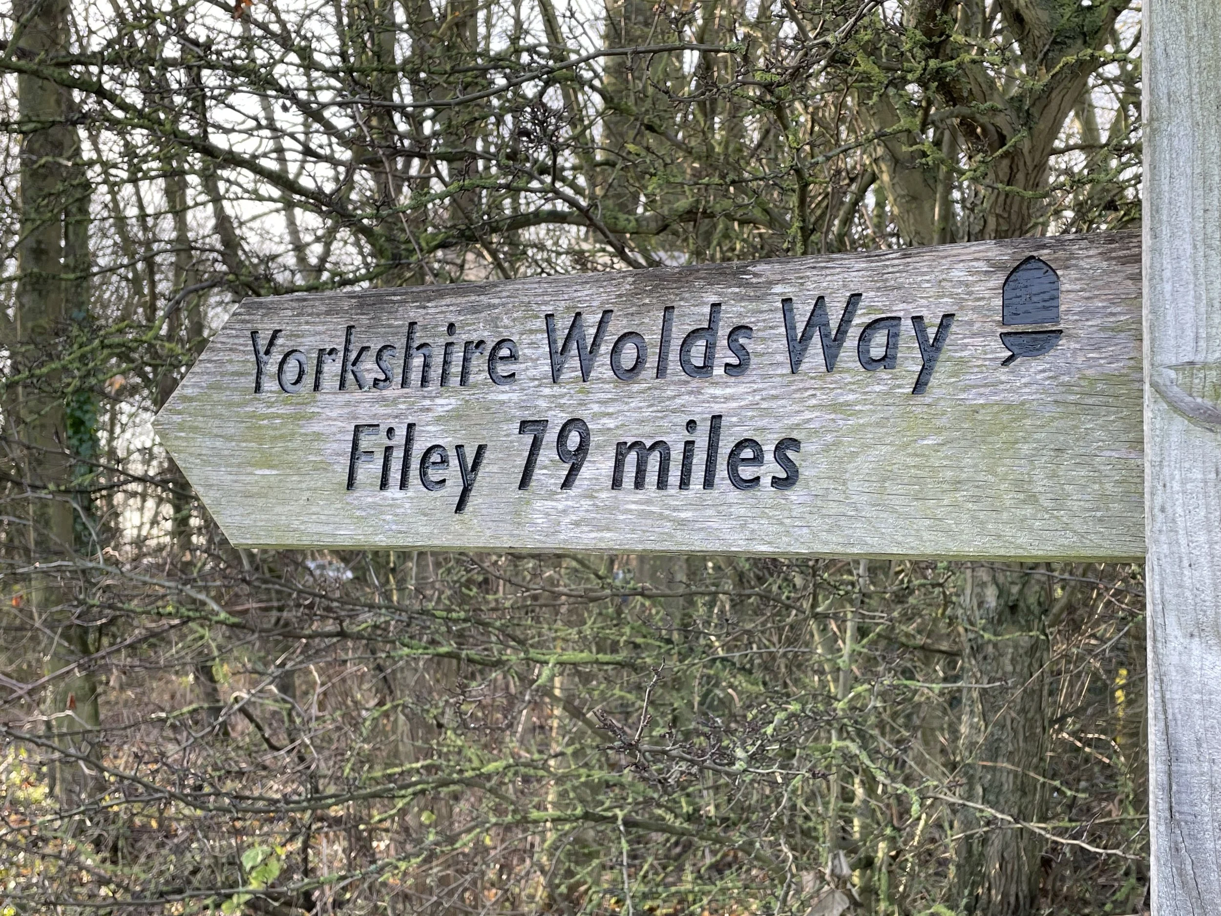 Wolds Way4.jpg