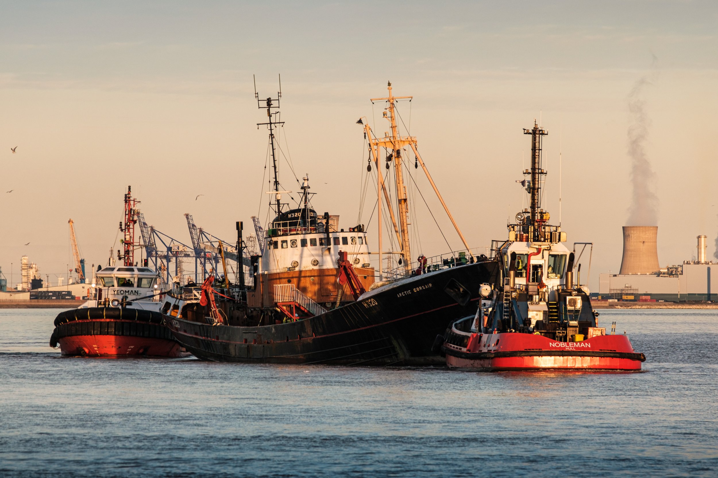 Arctic_Corsair_20211006_0021_nh.jpg
