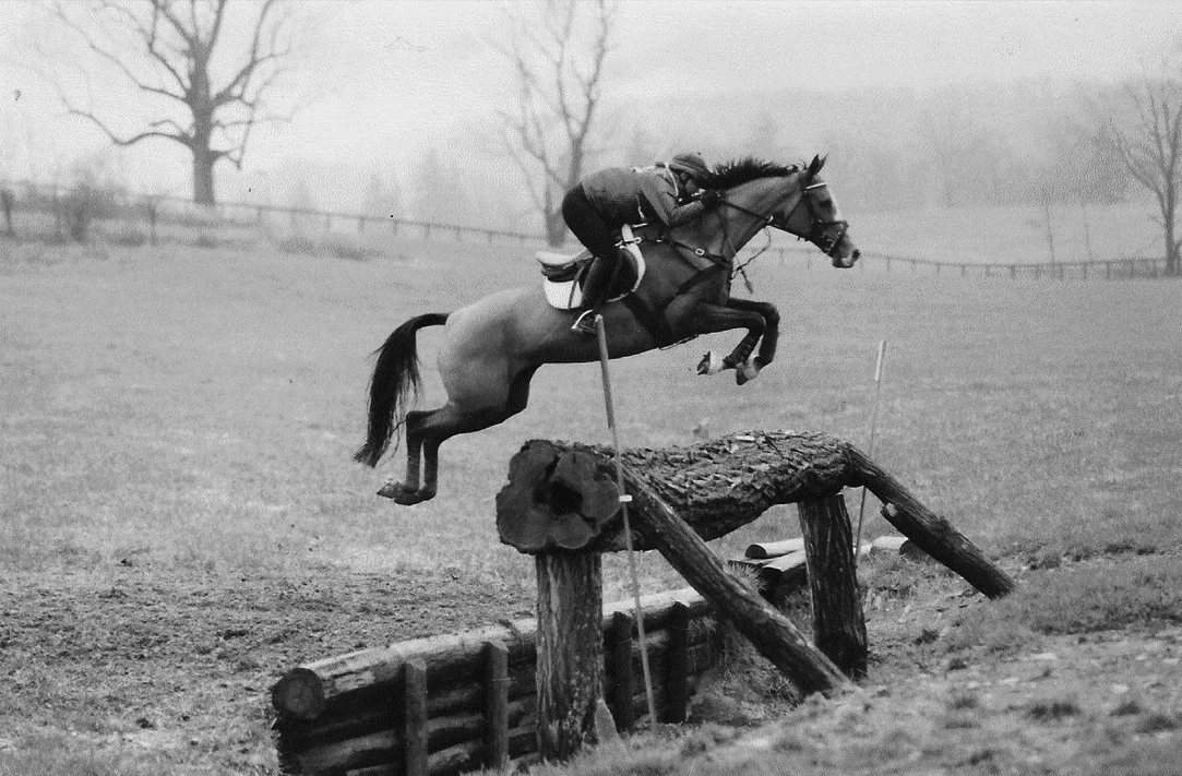 P3 LEAD. Equine then.jpg