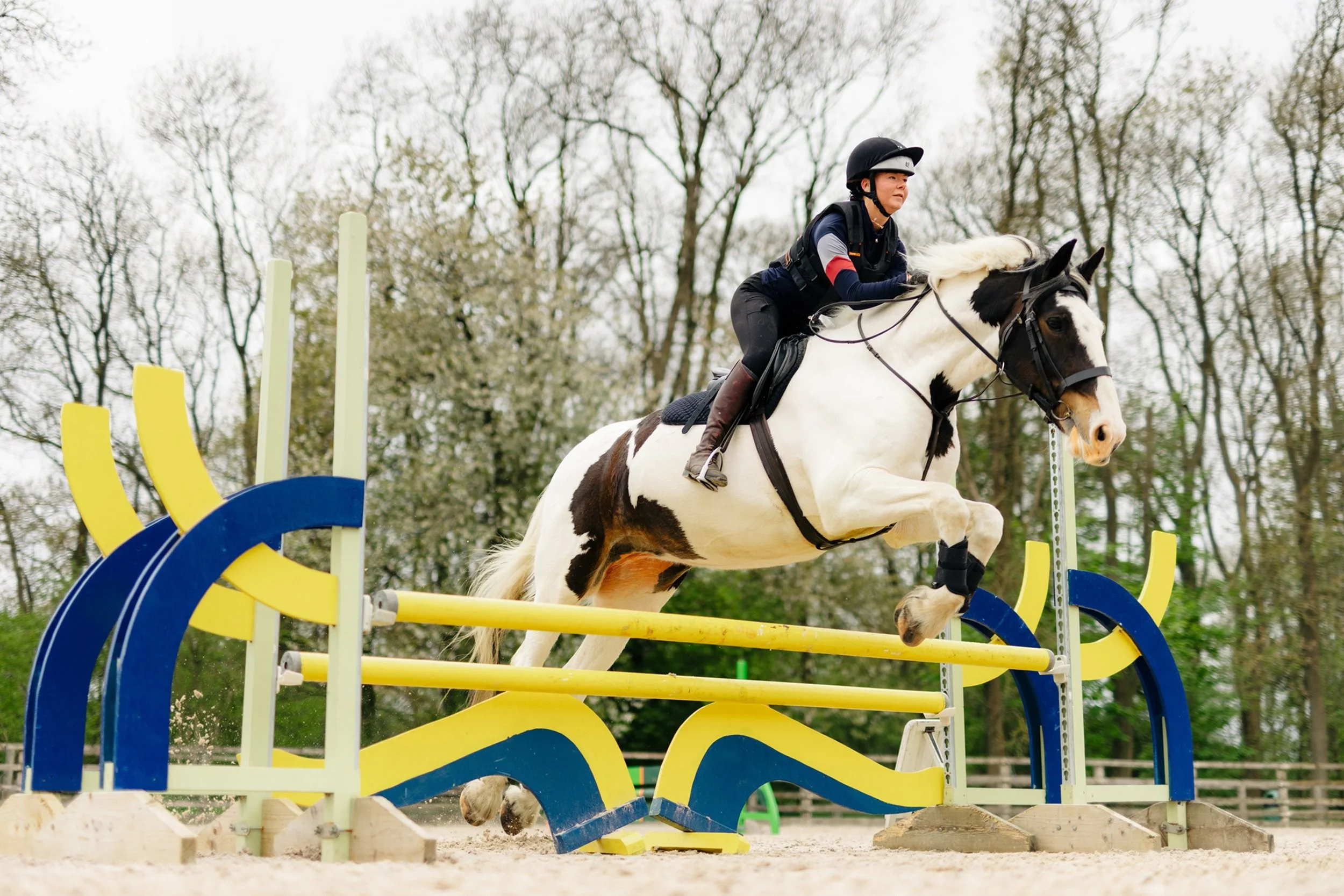 P3 LEAD. Equine now.jpg
