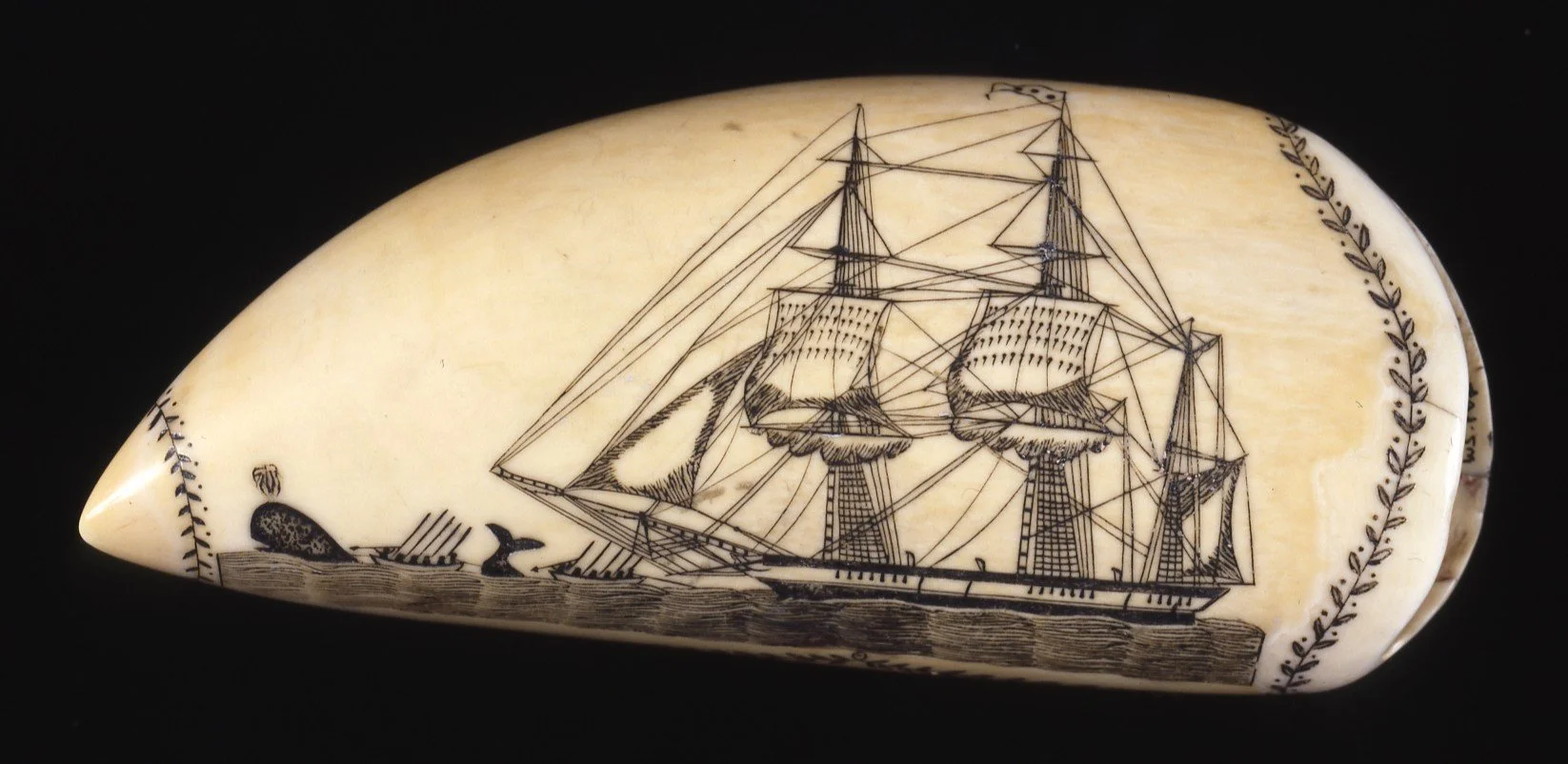 Sperm whale tooth of the Phoenix of London.jpeg