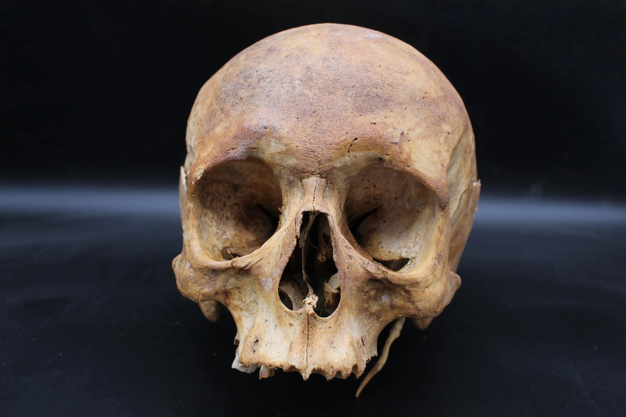 Violent times: Burial ground dig unearths brutal secrets of city’s past