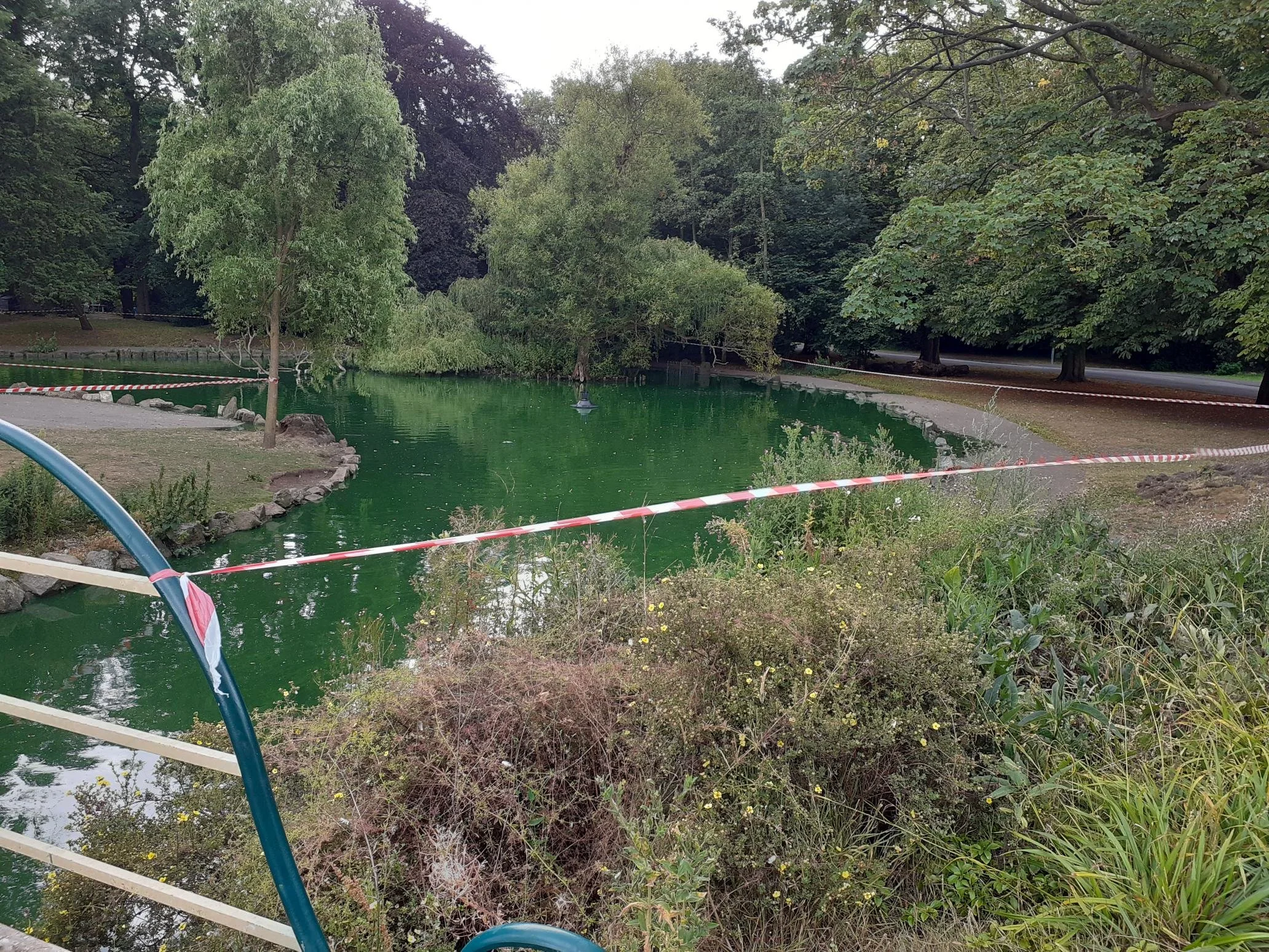Pearson Park lake taped off after algae infestation