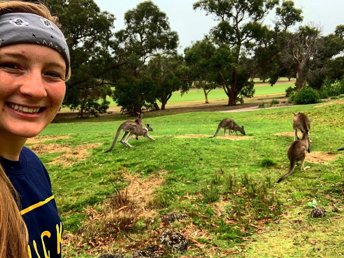 The kangaroos hoppin’ about.