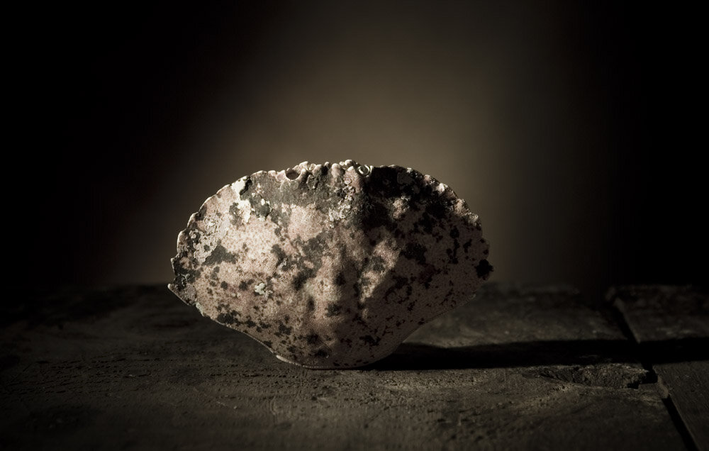 mckeephoto Shell 3 .jpg
