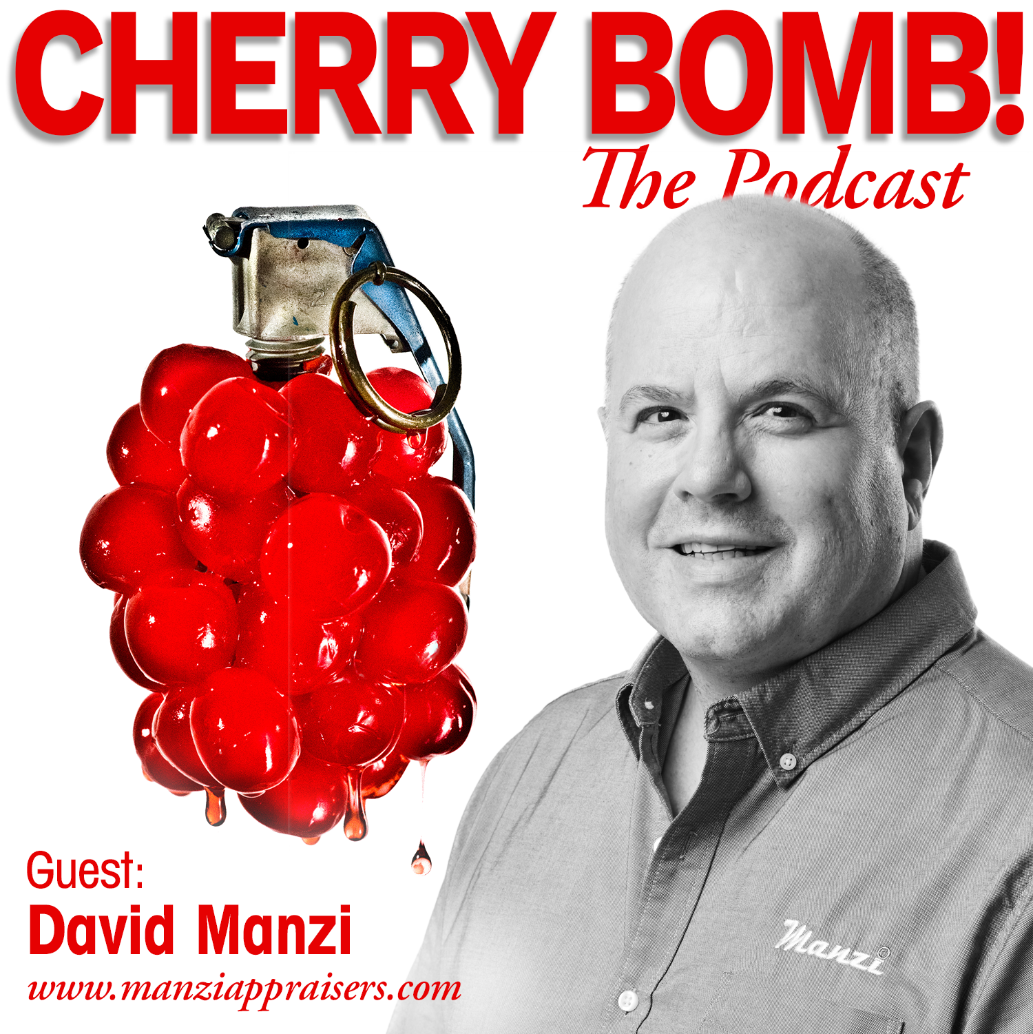 David Manzi, Appraising History episode artwork