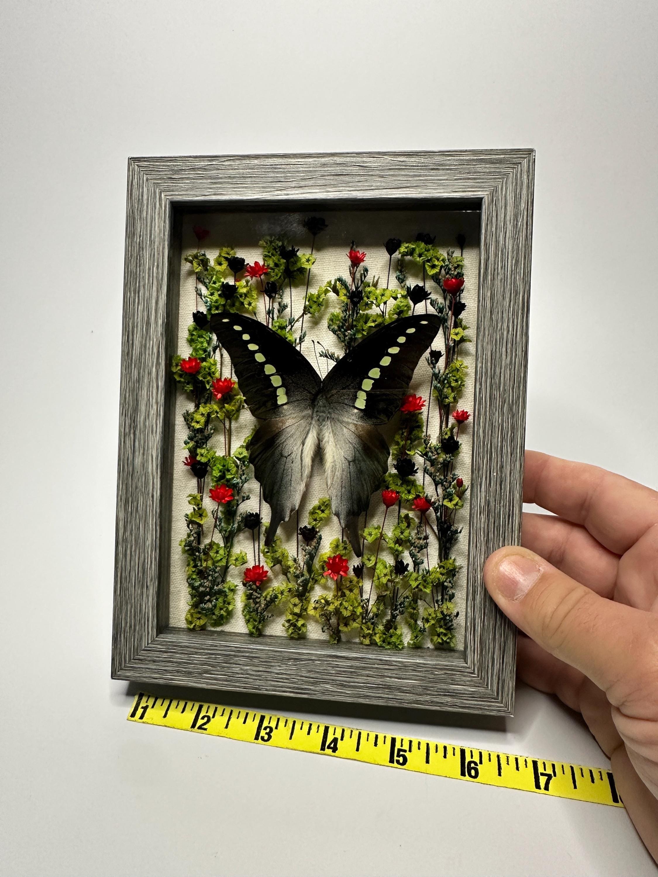 https://i.etsystatic.com/27002016/r/il/feb02f/6554597607/il_fullxfull.6554597607_da8i.jpg