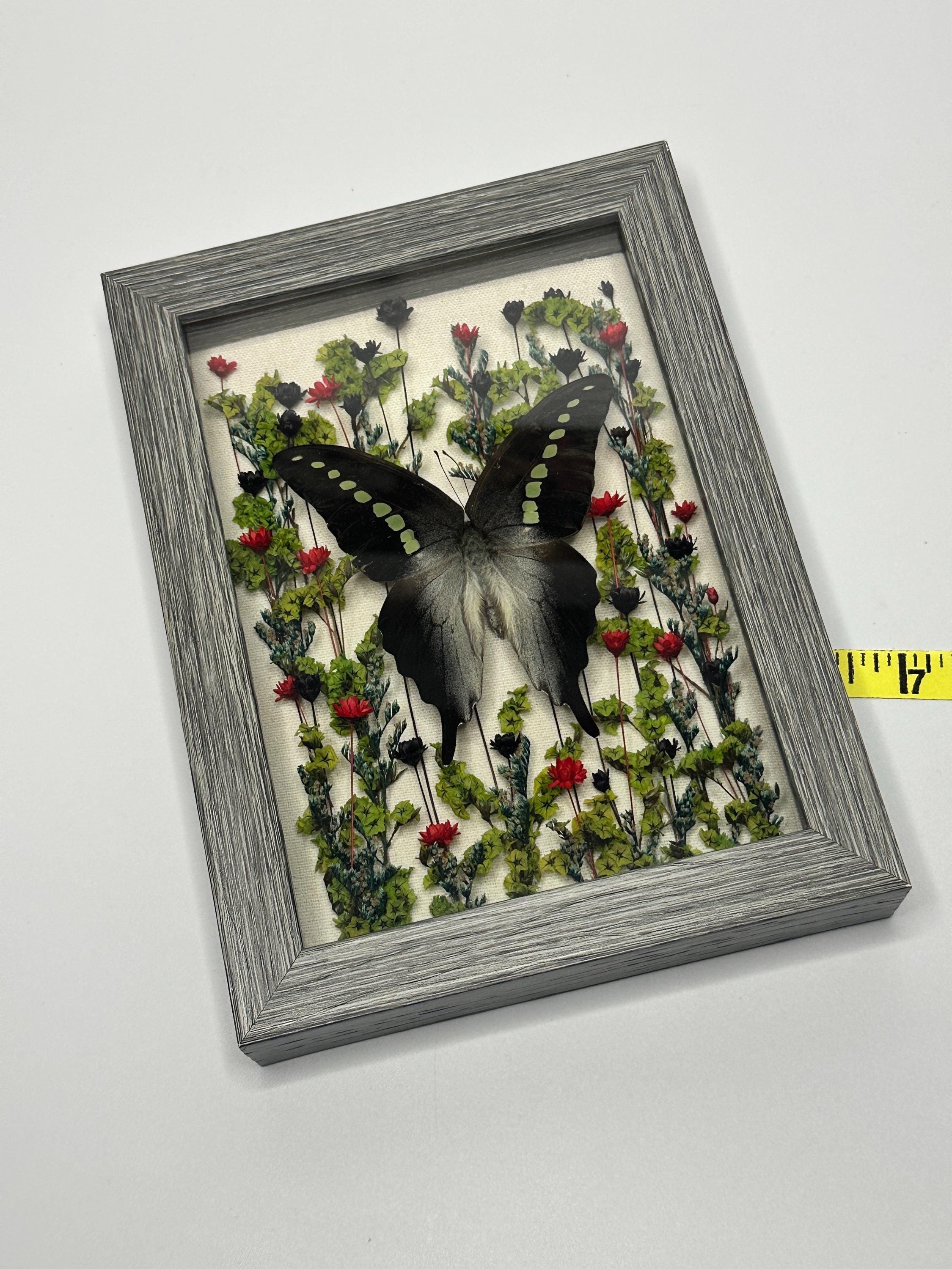 https://i.etsystatic.com/27002016/r/il/dbf536/6554597807/il_fullxfull.6554597807_38ia.jpg