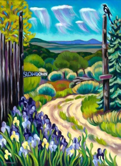 TRACY TURNER SHEPPARD ranch at taos 6.jpg