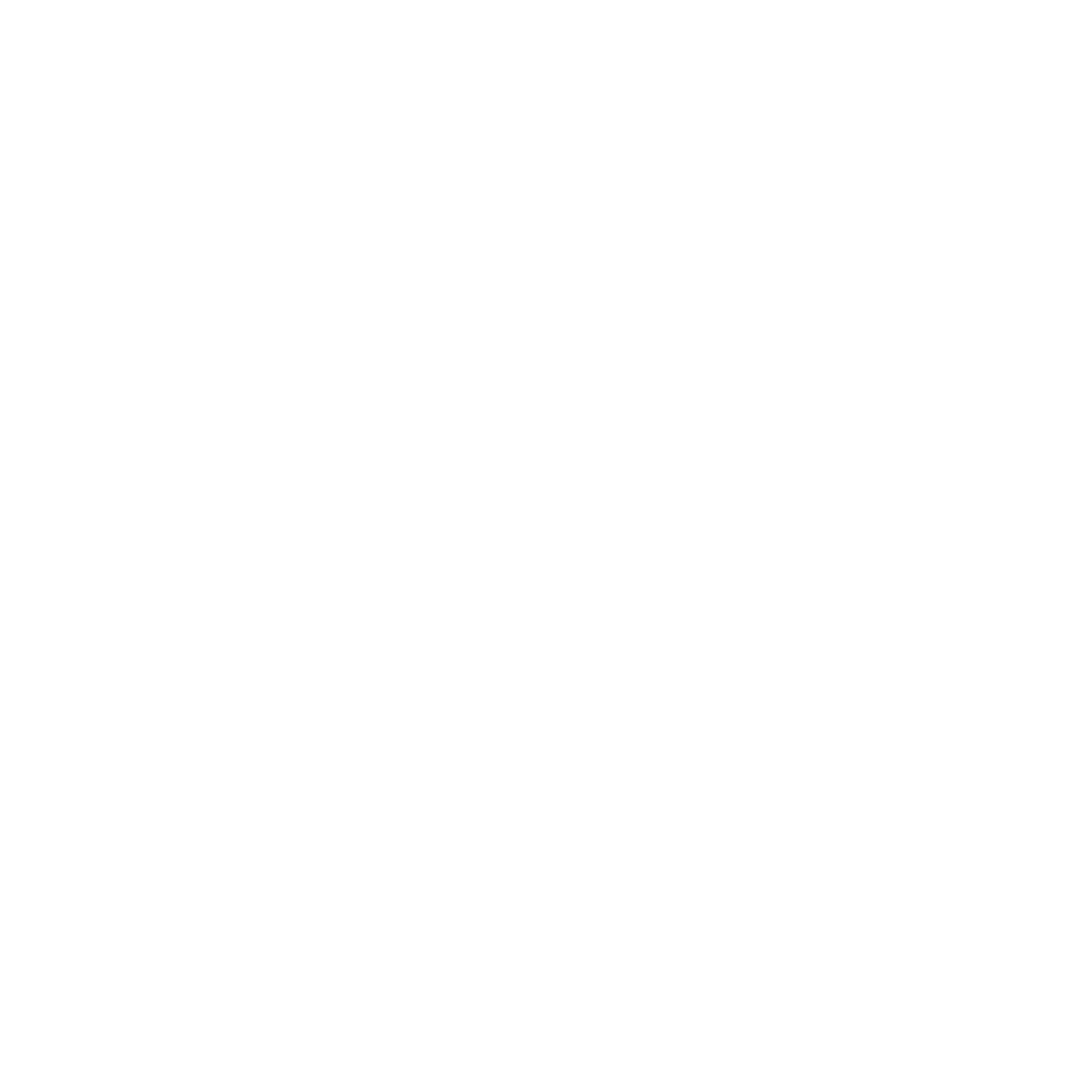 Skull and Bones Society