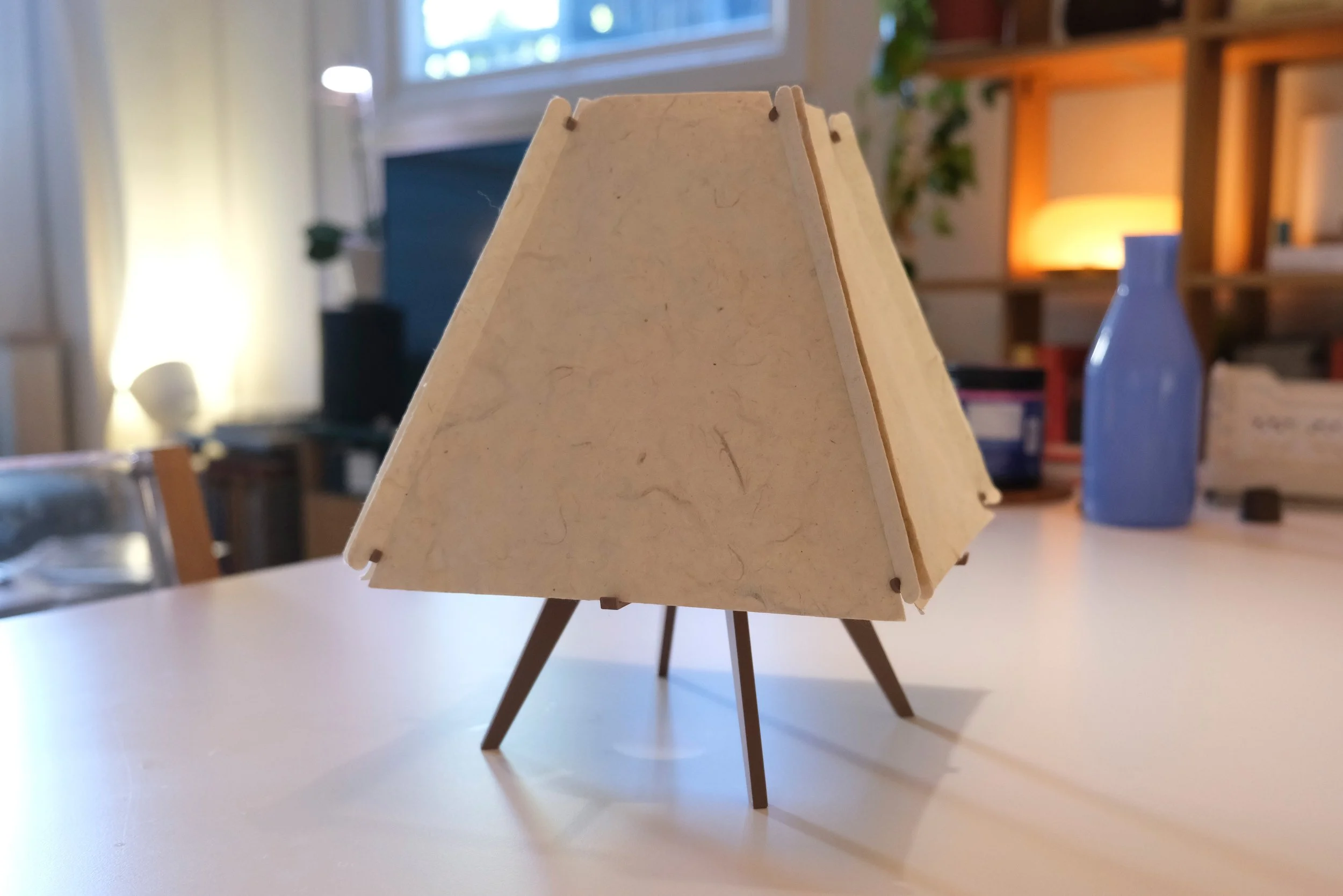 p6.jpg