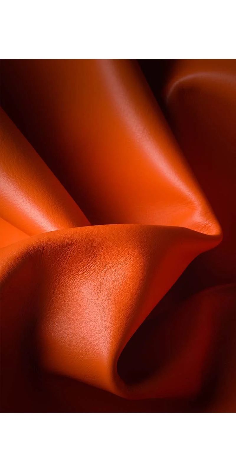 Gruppo Mastrotto Leather