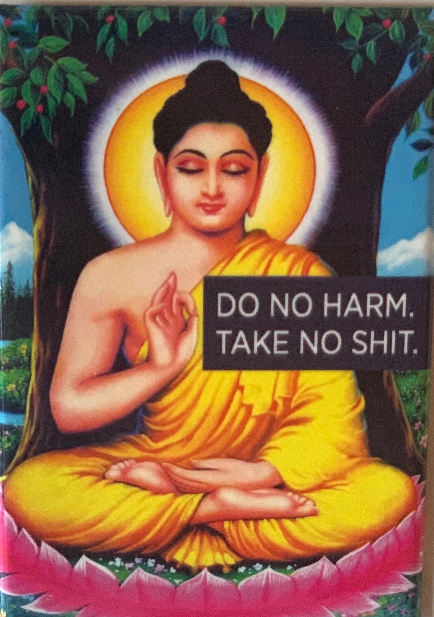 Do No Harm Take no Shit.jpeg
