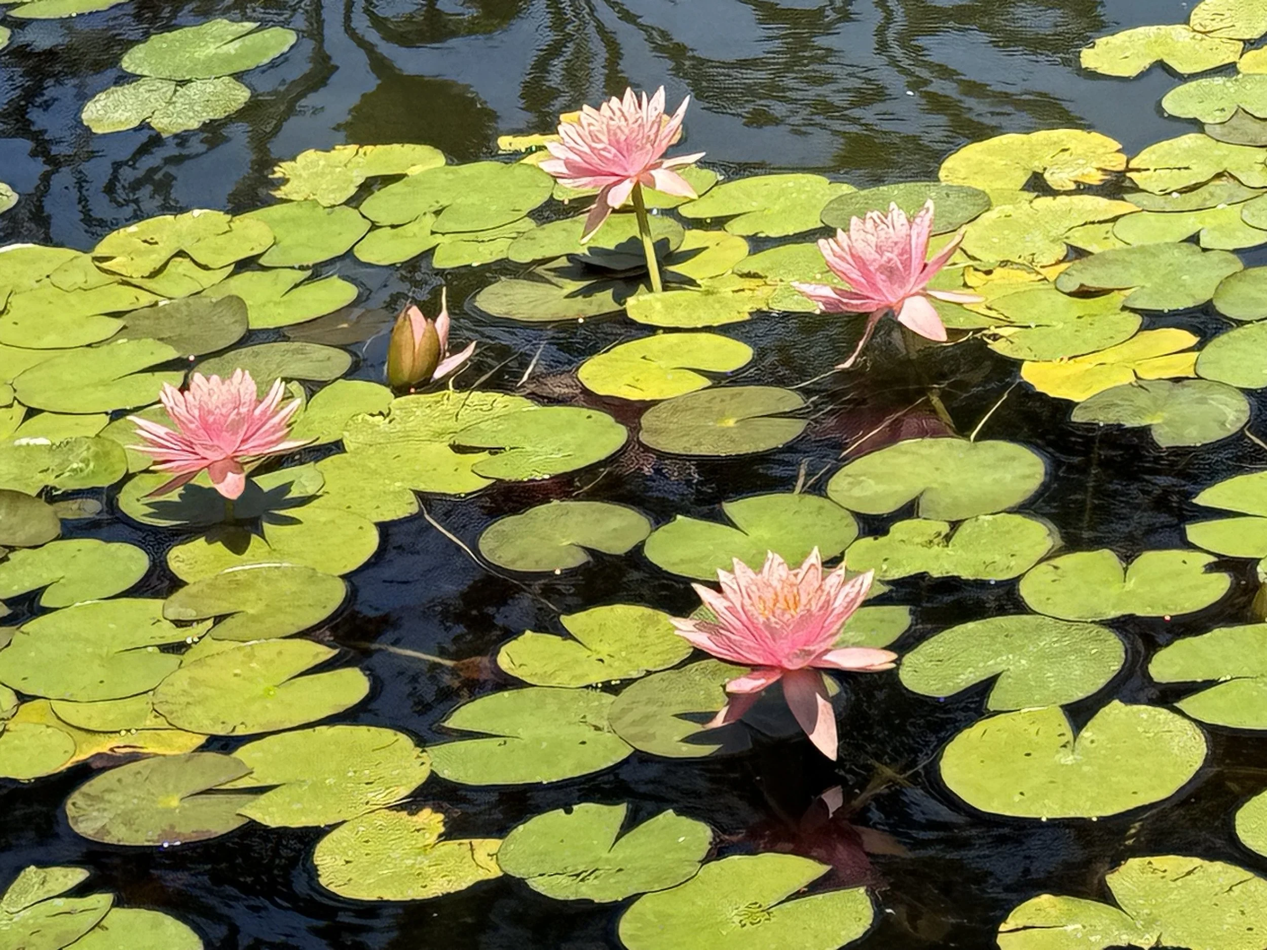 HSV Stigma and Trauma: How Medical Systems and Social Attitudes About Sex Cause Harm