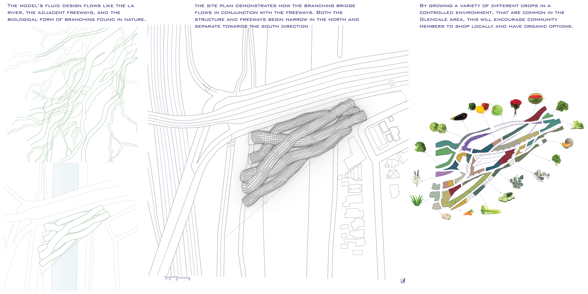 FINAL PORTFOLIO template2.png