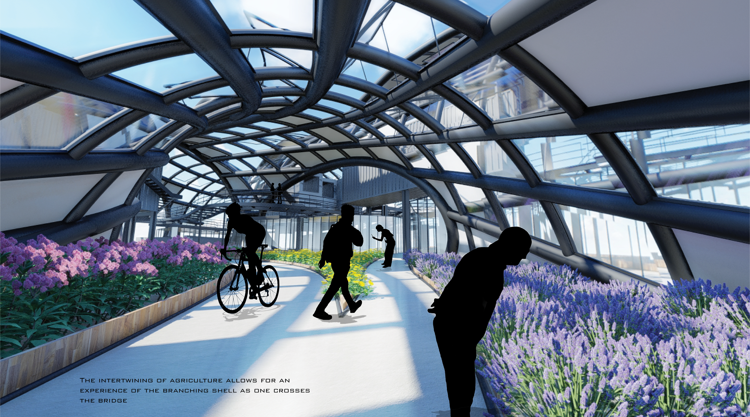 FINAL PORTFOLIO template3.png