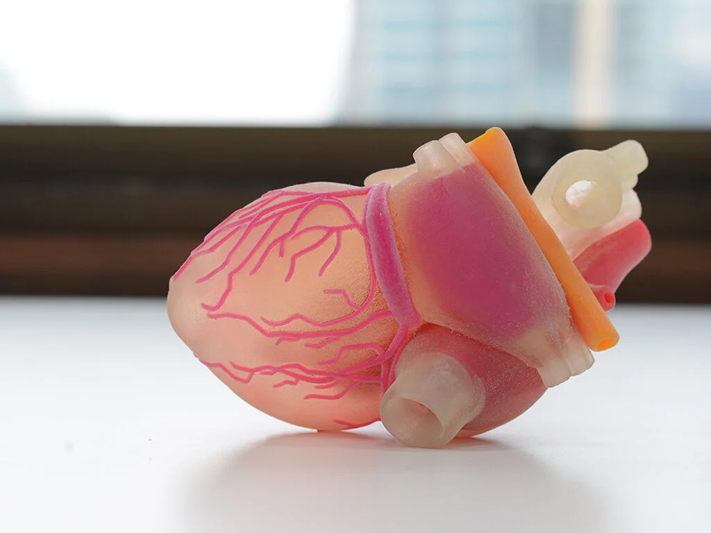 Free form artificial muscle fibre fabrication utilizing electroactive polymer and biopolymer composites –  PhD Research   Since the advent of Additive Manufacturing and its diverse field of applications, there are many researchers concerned with the development and fabrication of artificial muscles using 3D printing techniques. While artificial muscles refer to constructs fabricated using a variety of different approaches, 3D printed electroactive actuators are a growing field of interest, especially due to the advancement and sophistication of materials science. Within this context, there exists a desire for the development of individual fibres, akin to those occurring in natural muscle. This project aims to develop a processing methodology through which artificial muscle electroactive actuators are be developed using 3D printing technology. This contributes towards the future development of smart devices / sensors, smart textiles, biomimetic robotics and many other applications.