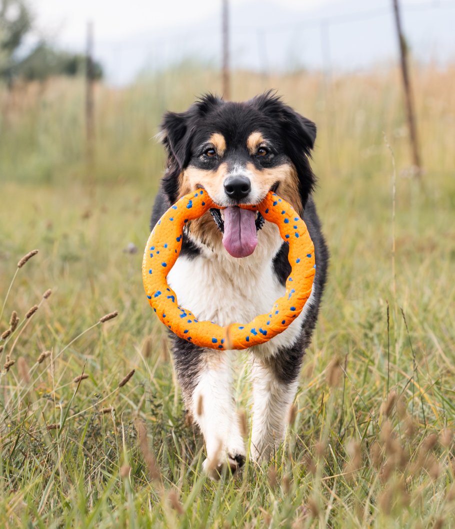 Screenshot 2026-01-16 at 8.43.46 PM.png