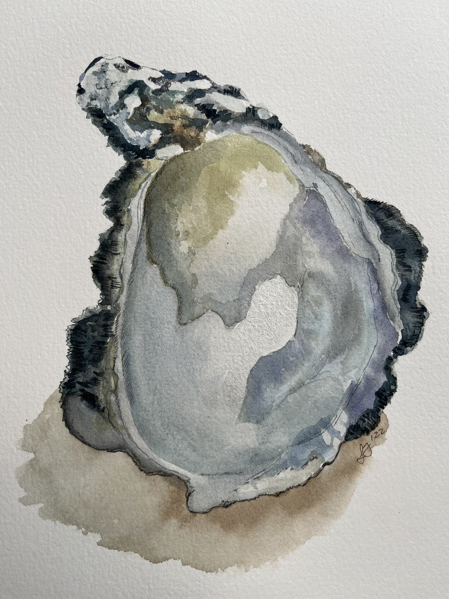 Inside the Shell - oyster watercolour