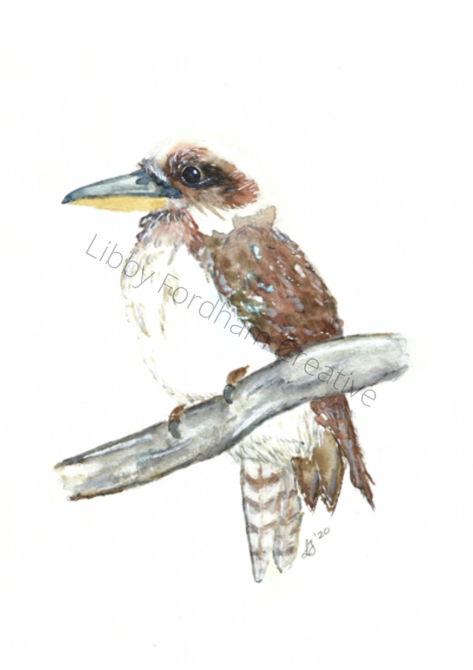 Kookaburra Spirit © Libby Fordham