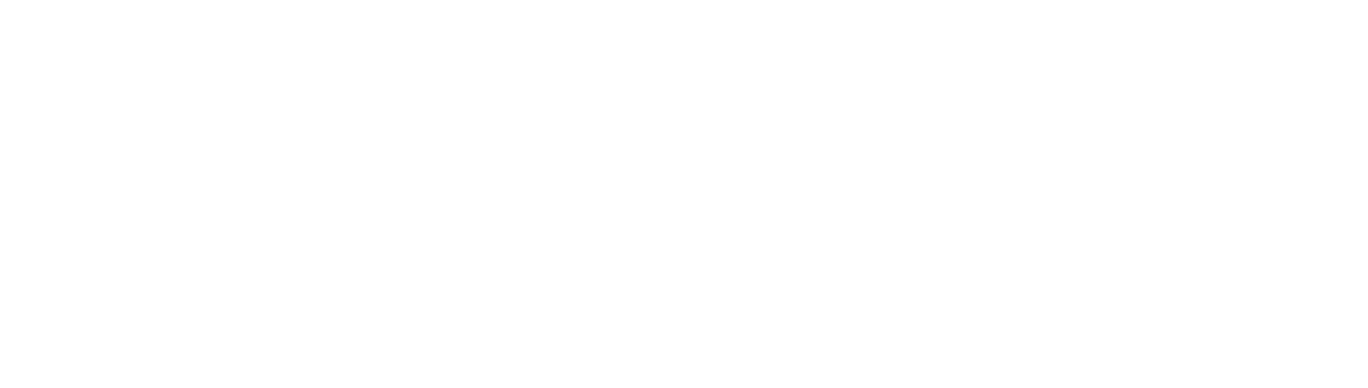 Philanthropy Partners Consulting