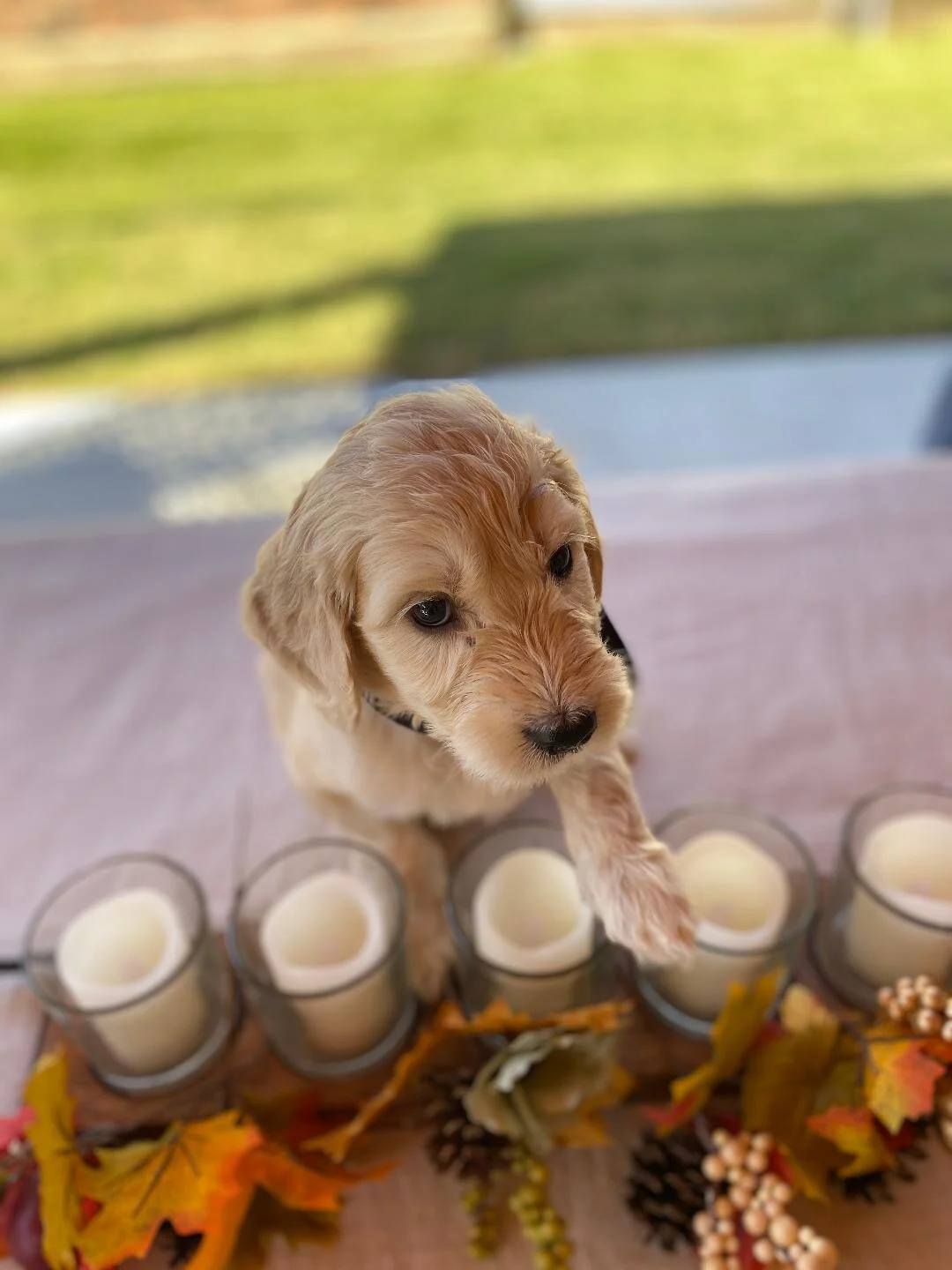 black table candles.jpeg