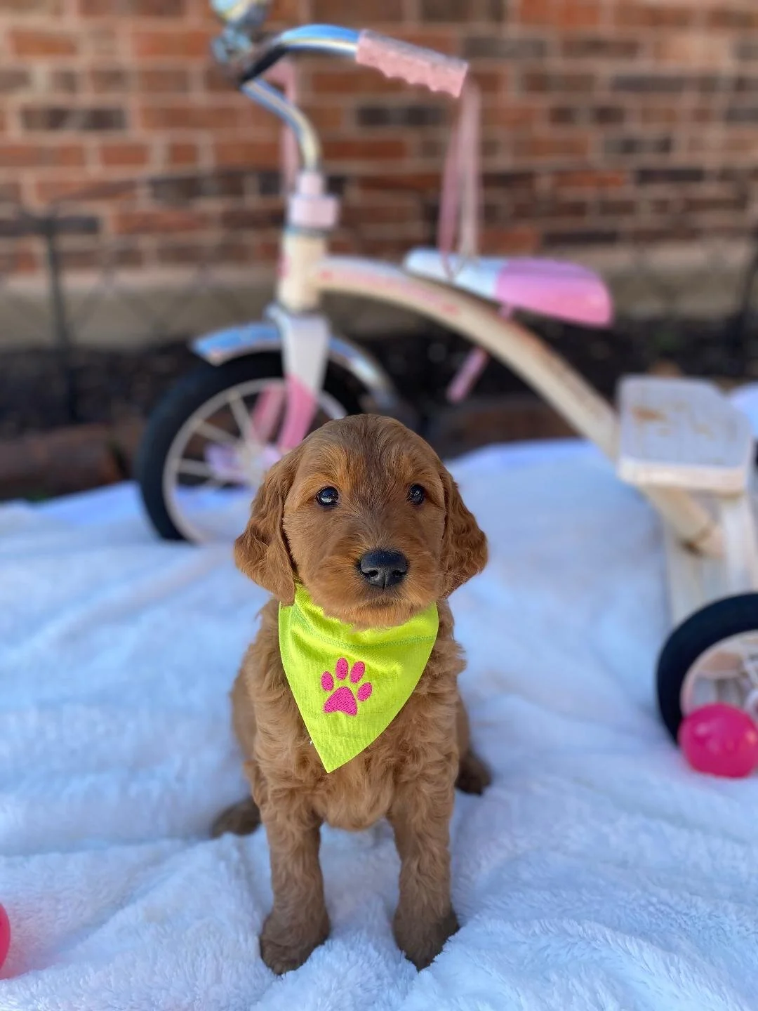 Girl Lime green.jpeg