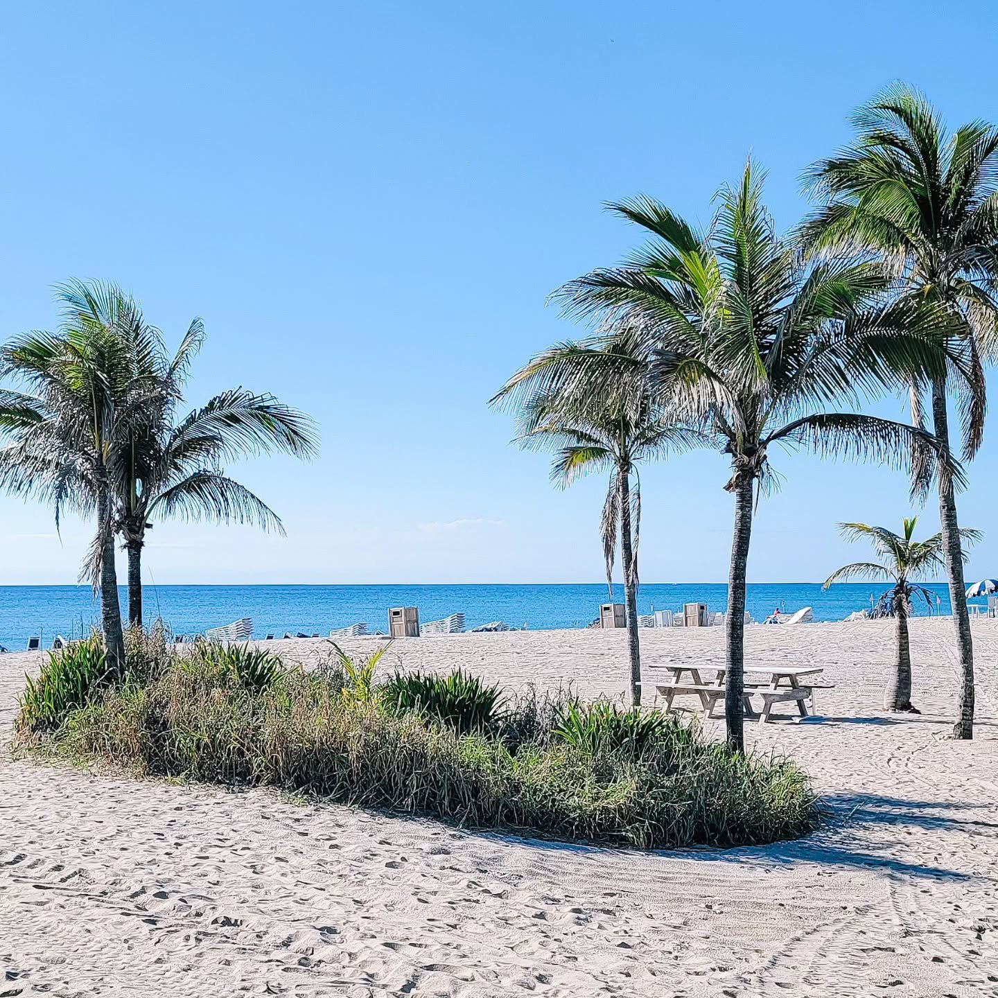 Midweek magic in gorgeous Downtown Delray Beach.
#discoverdelray #downtowndelray #oceanview