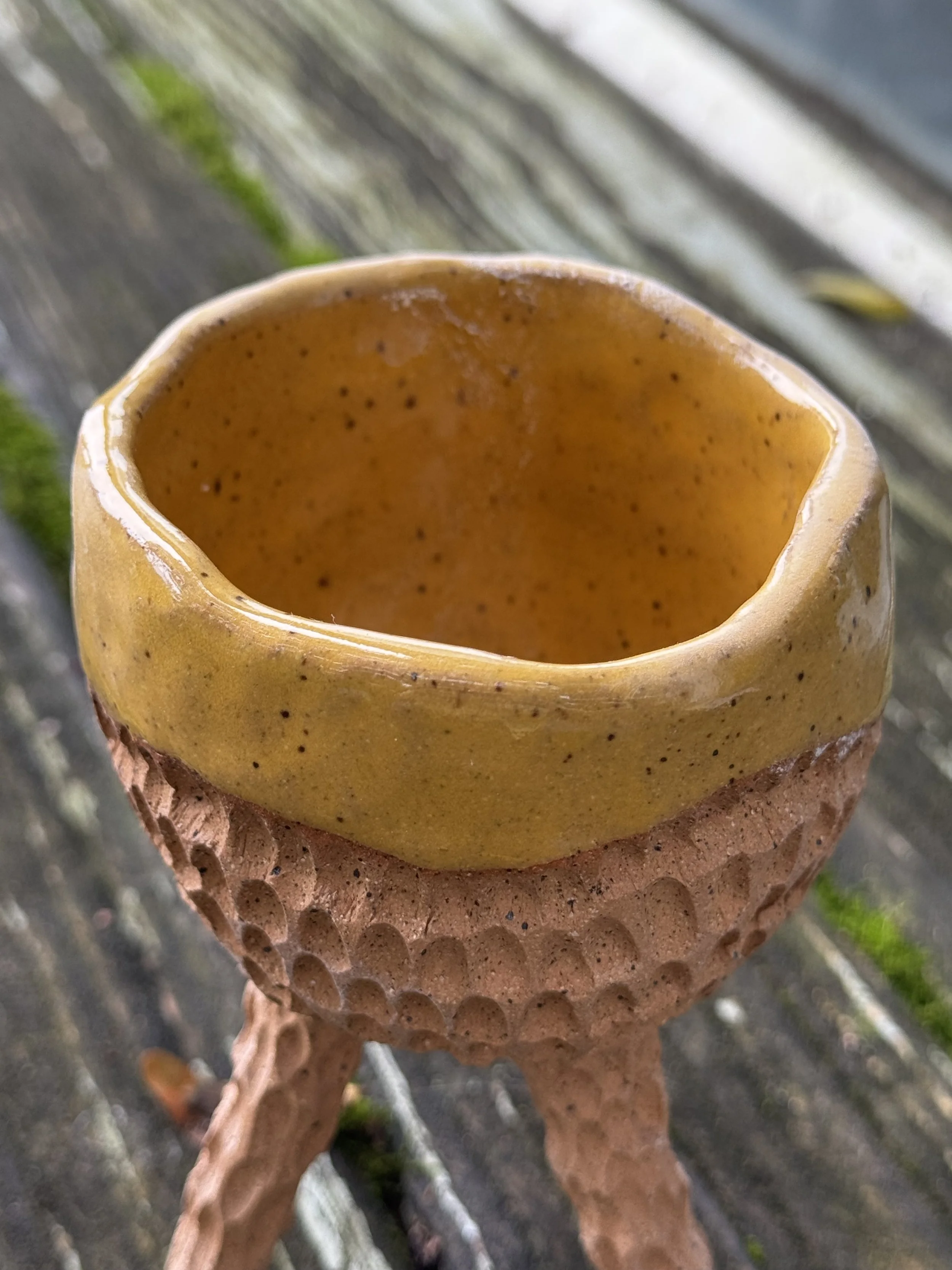 IMG_2456.jpeg