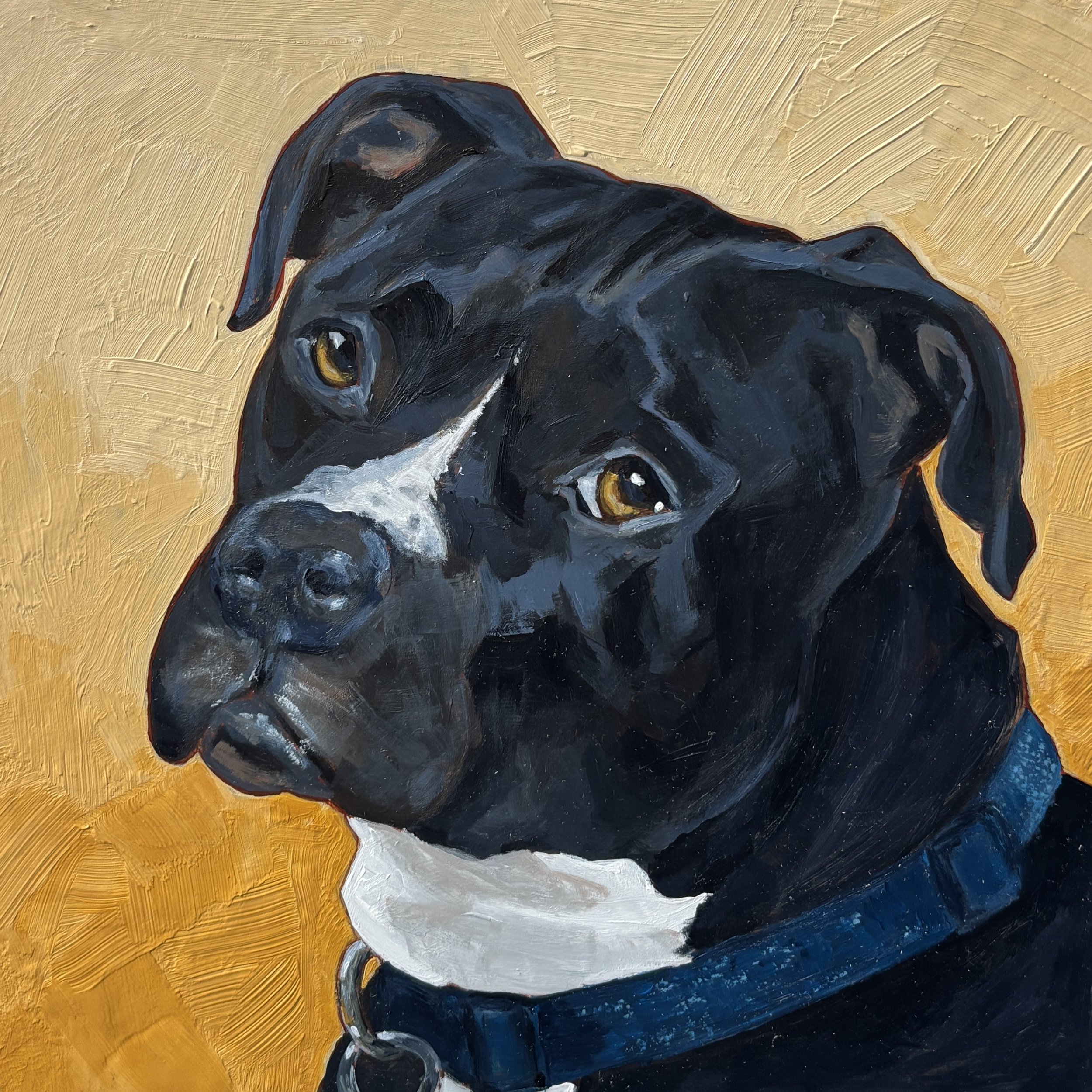 Mo
10"x10" acrylic on board
