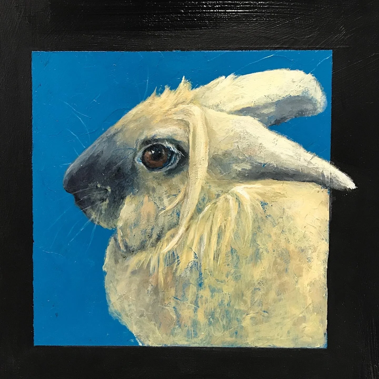 Coco
10"x10", acrylic on board