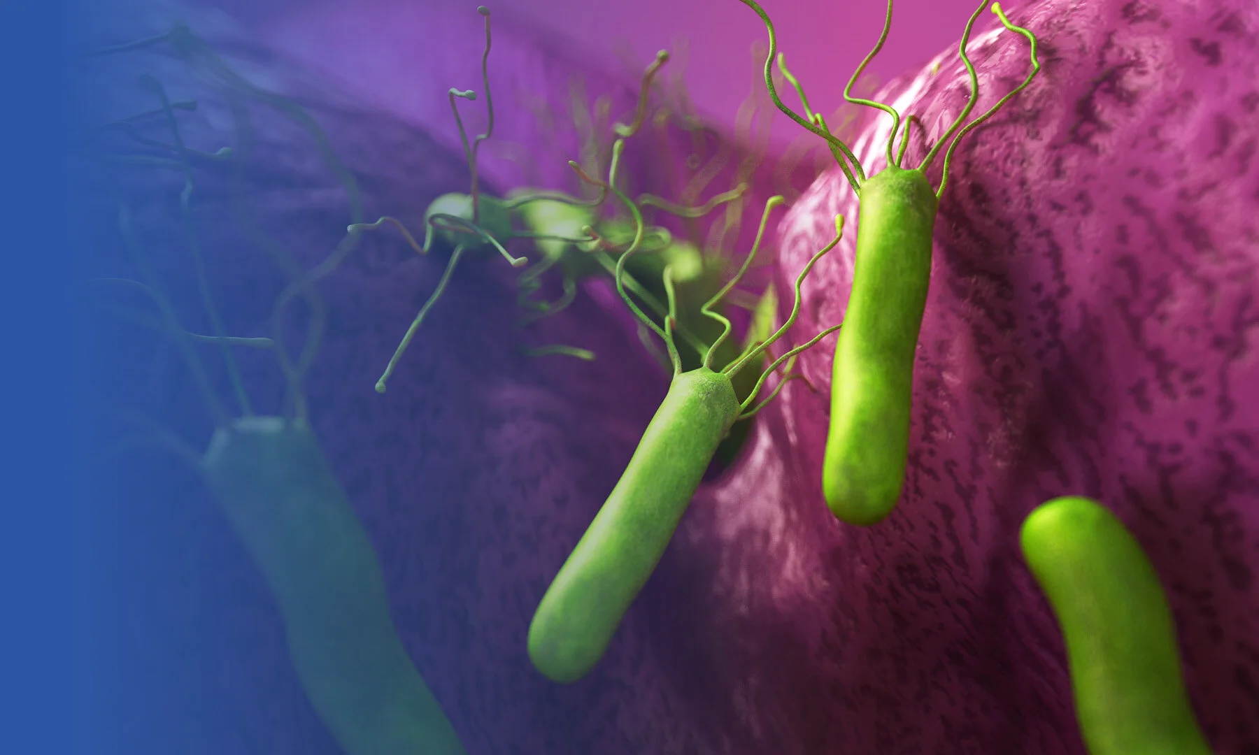 About TriMed TriMed Australia — Trimed