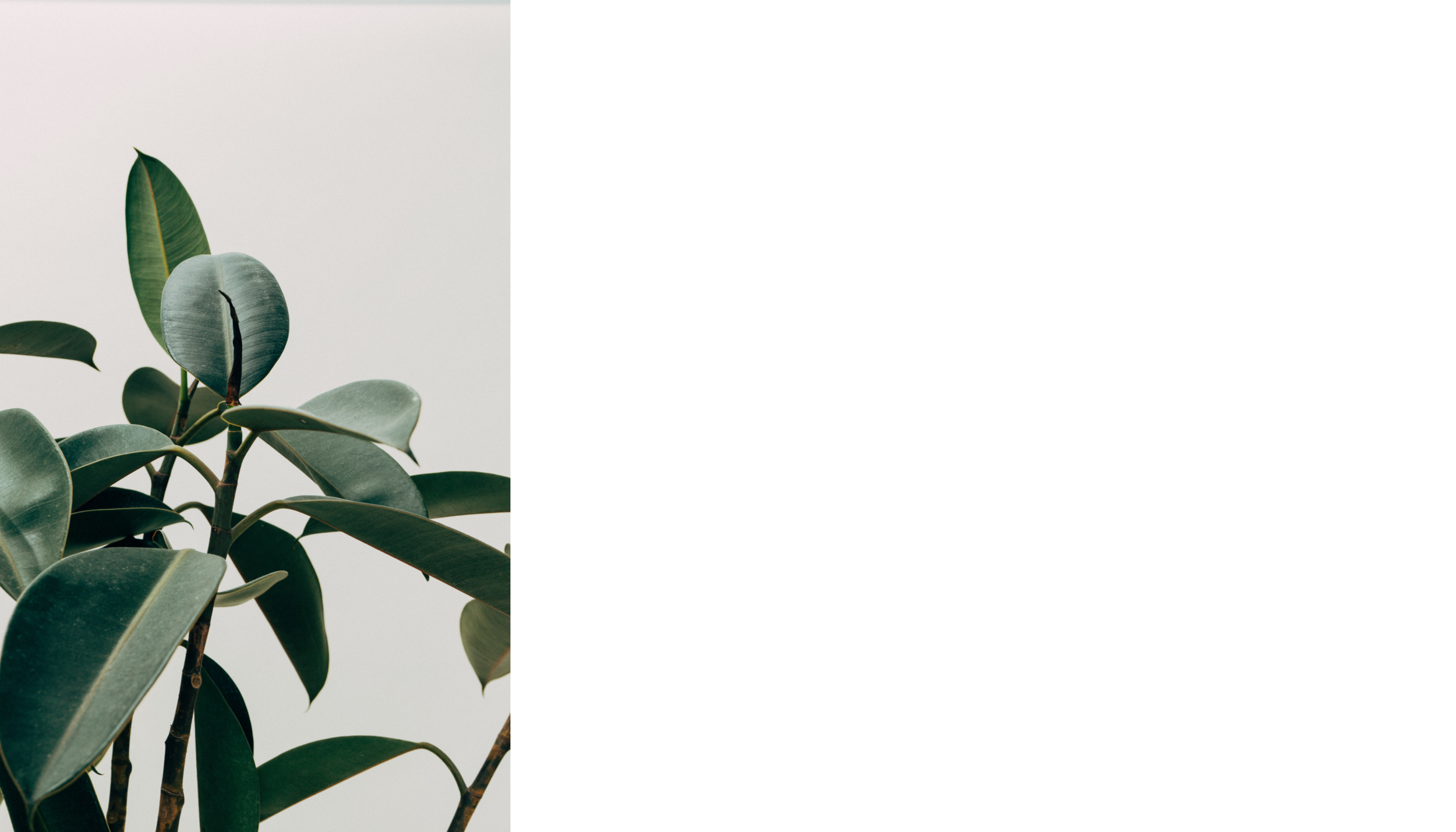 Copy of Influence Backgrounds 2.png