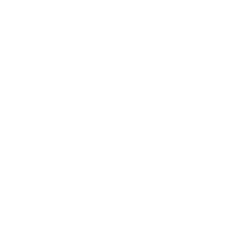 Francesca Hong For Governor