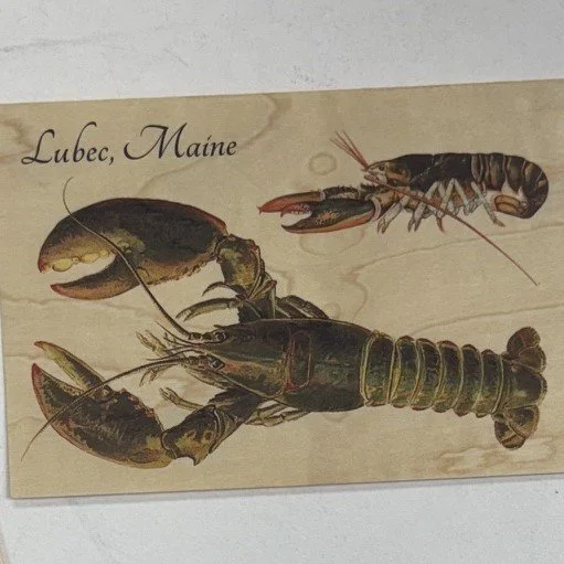 Souvenir magent with a vintage Illustration of a lobster from Lubec, Maine.