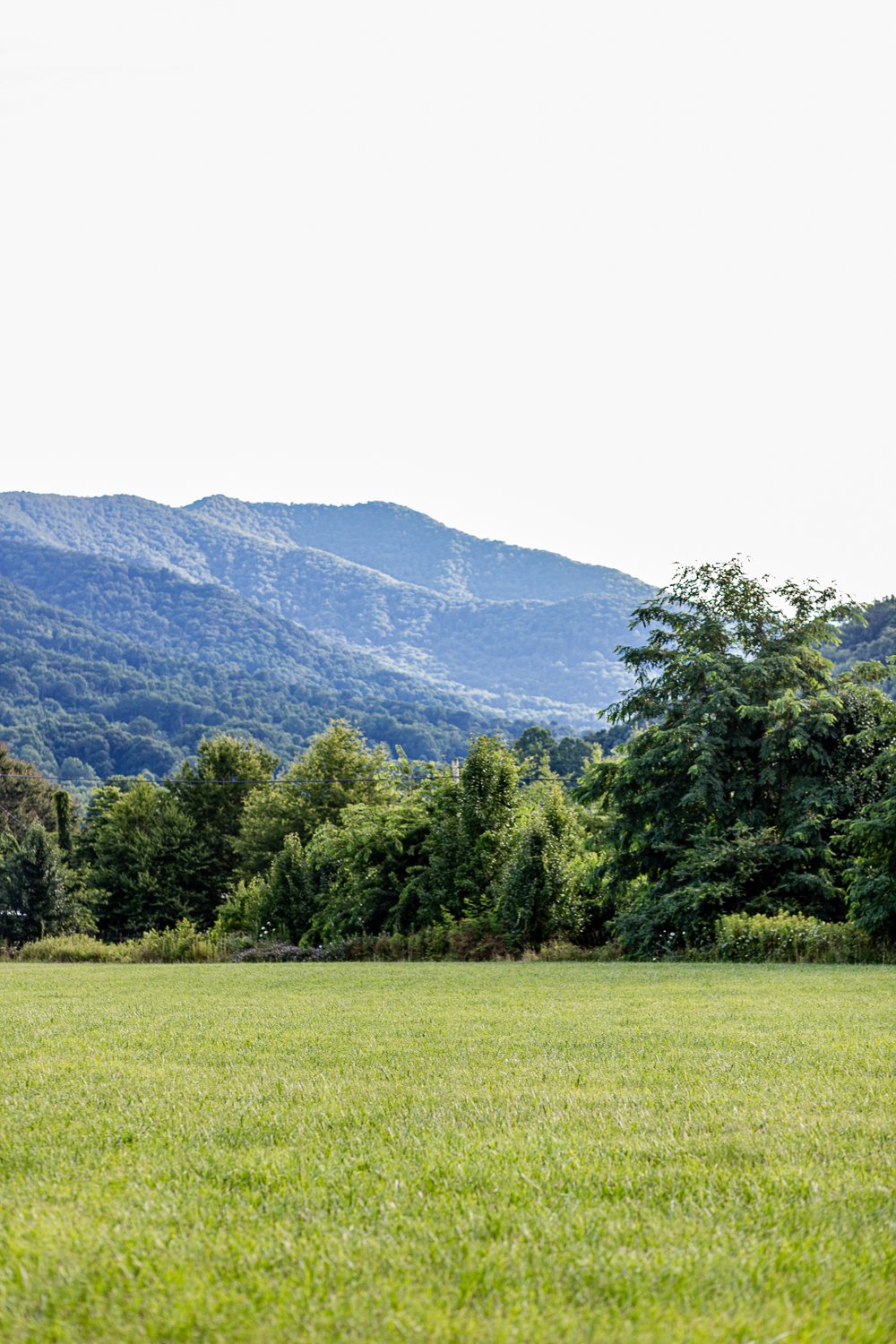 Blog-15.jpg