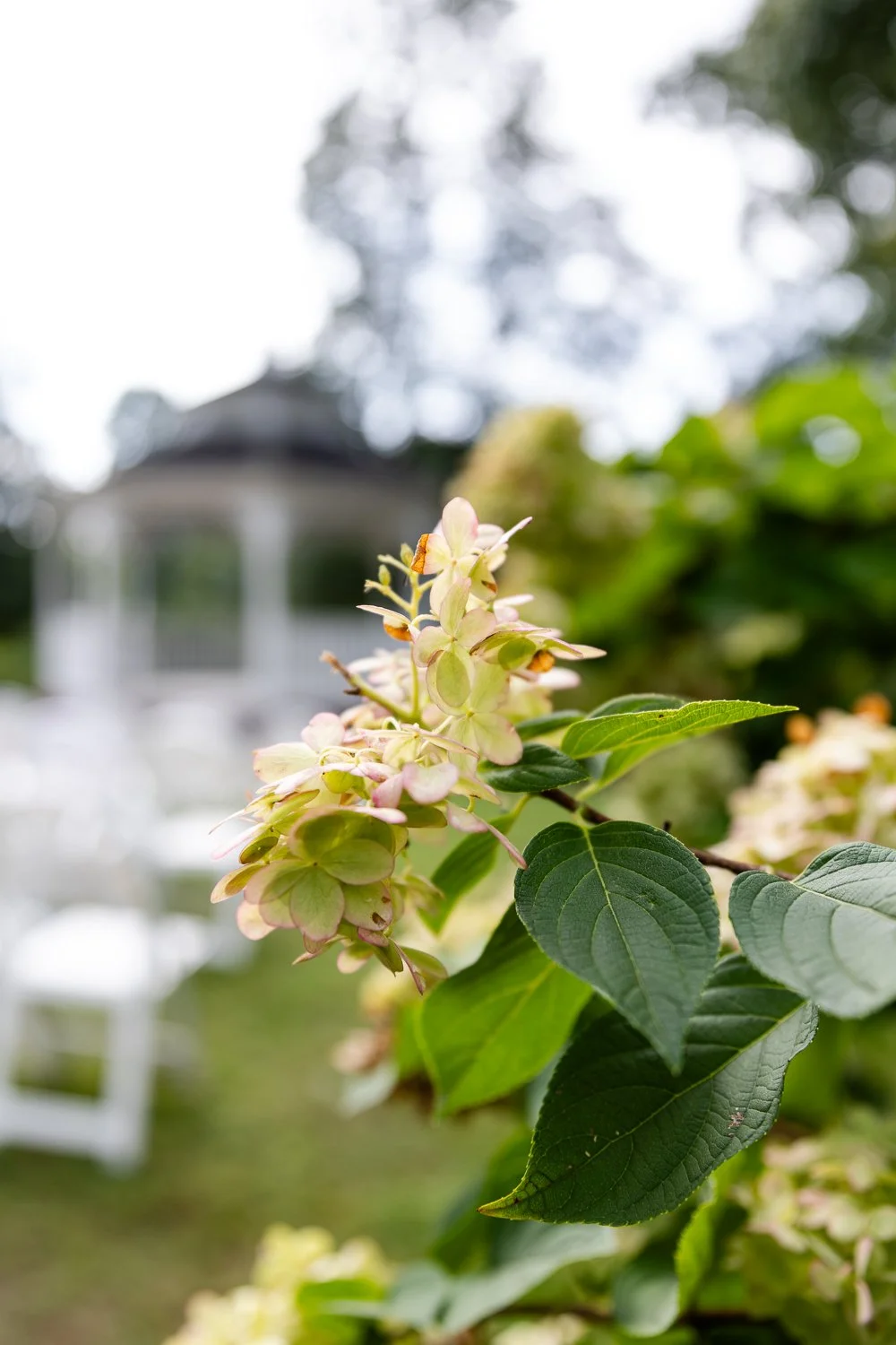 For Blog-3.jpg