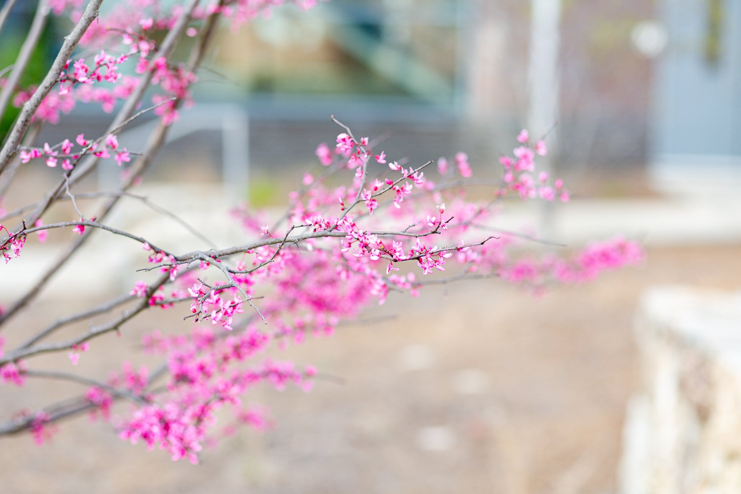 For Blog-10.jpg