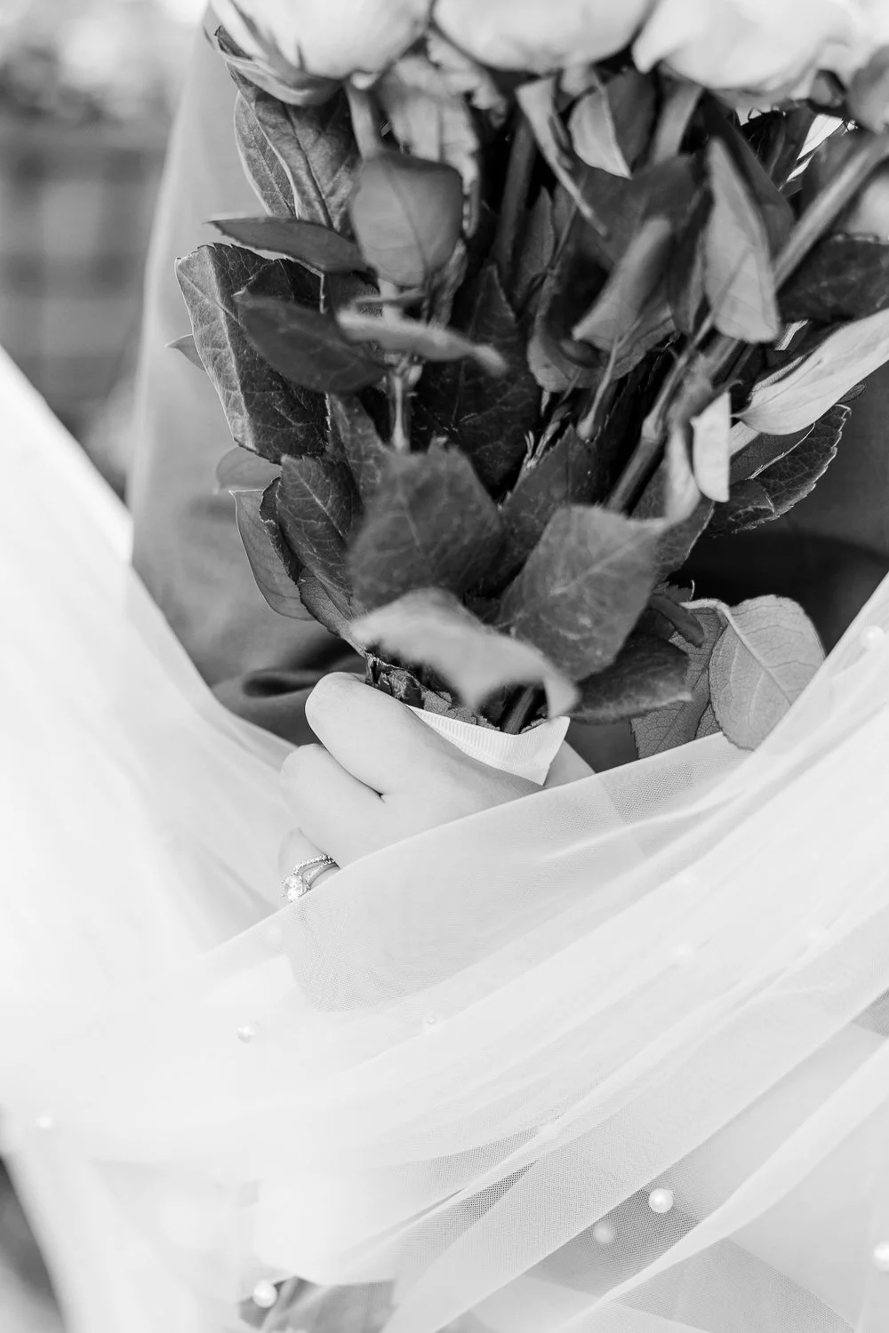 For Blog-32.jpg