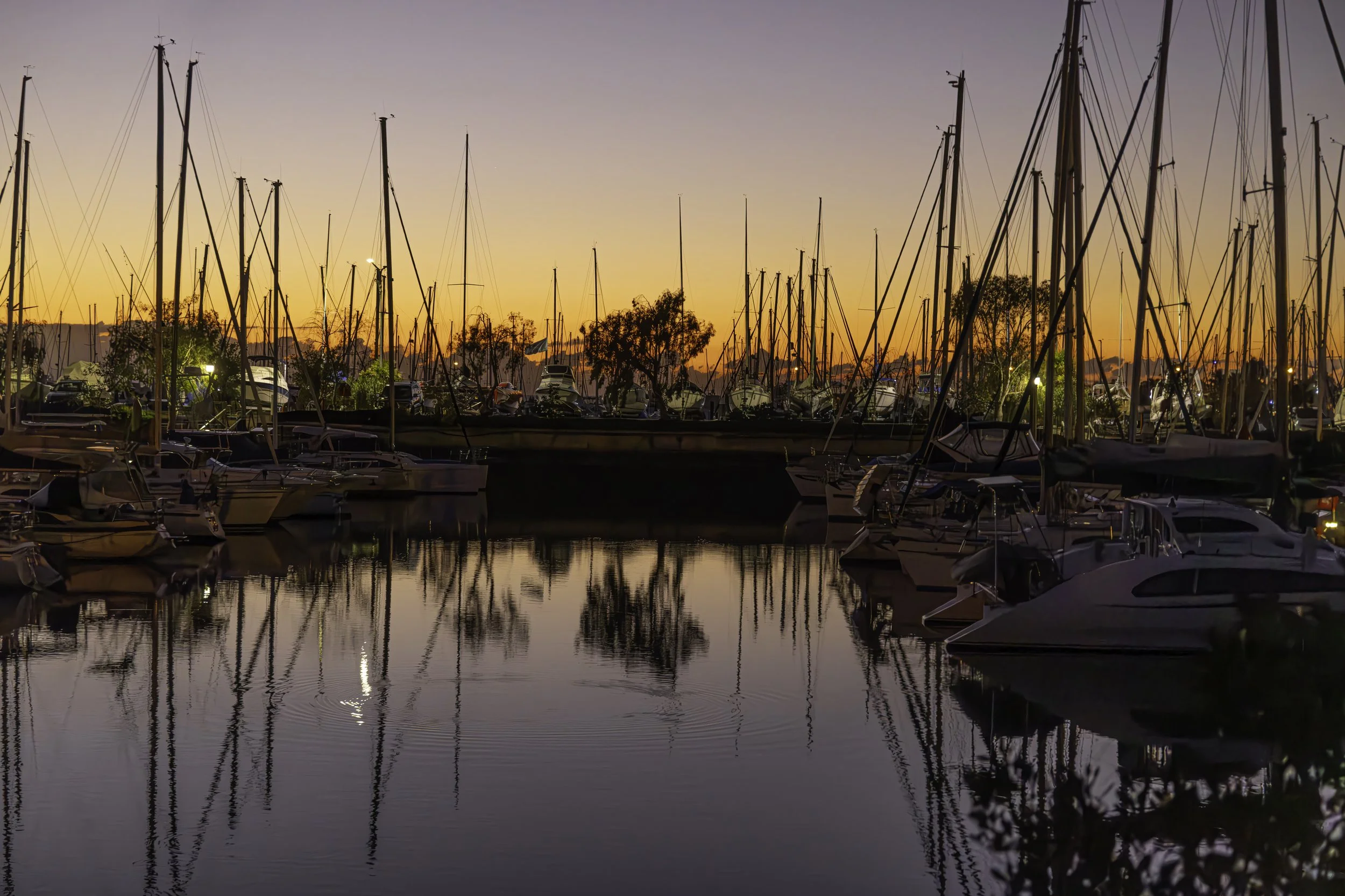 bay--16.jpg