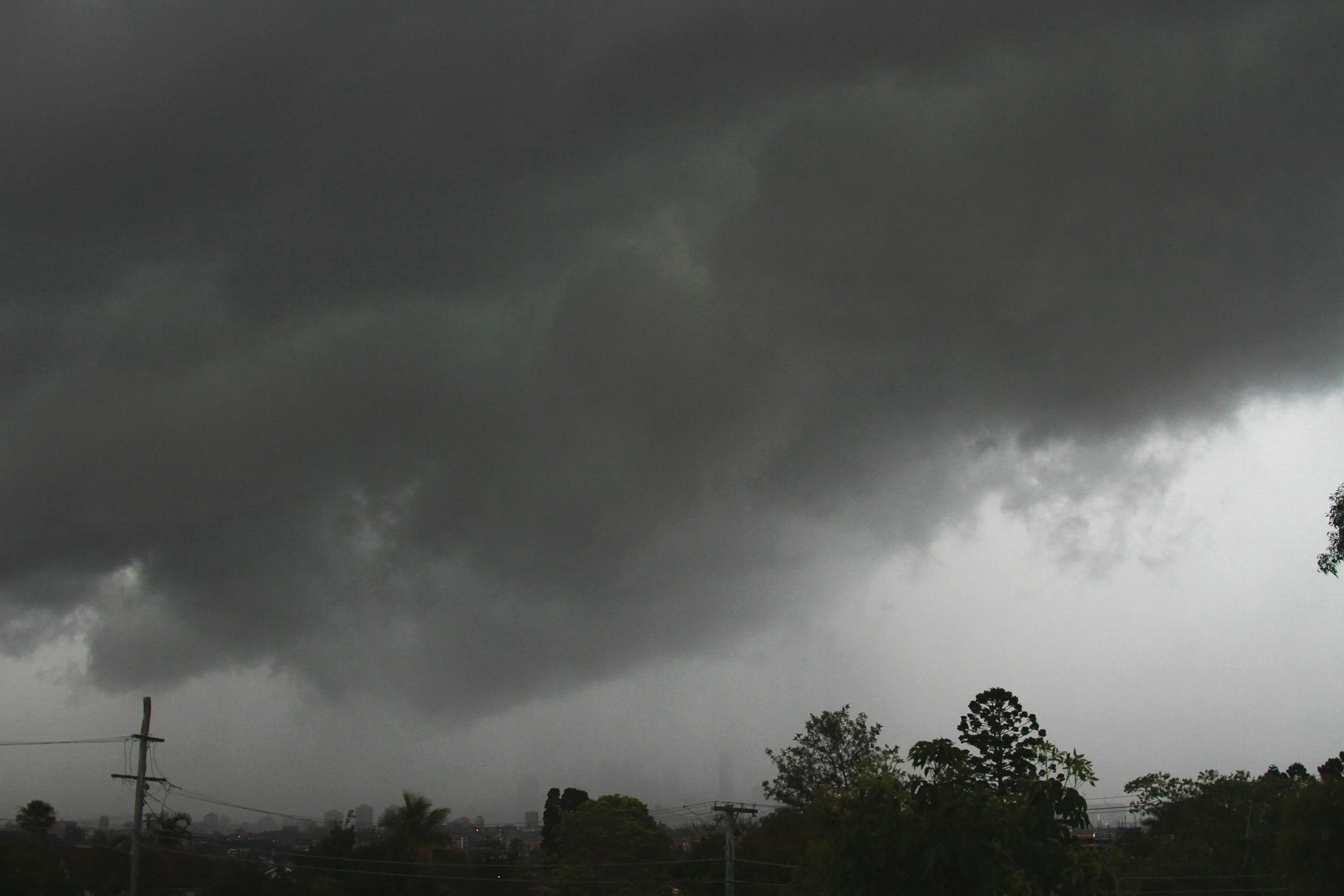storms+nov+2012+2012-11-17+019.jpg