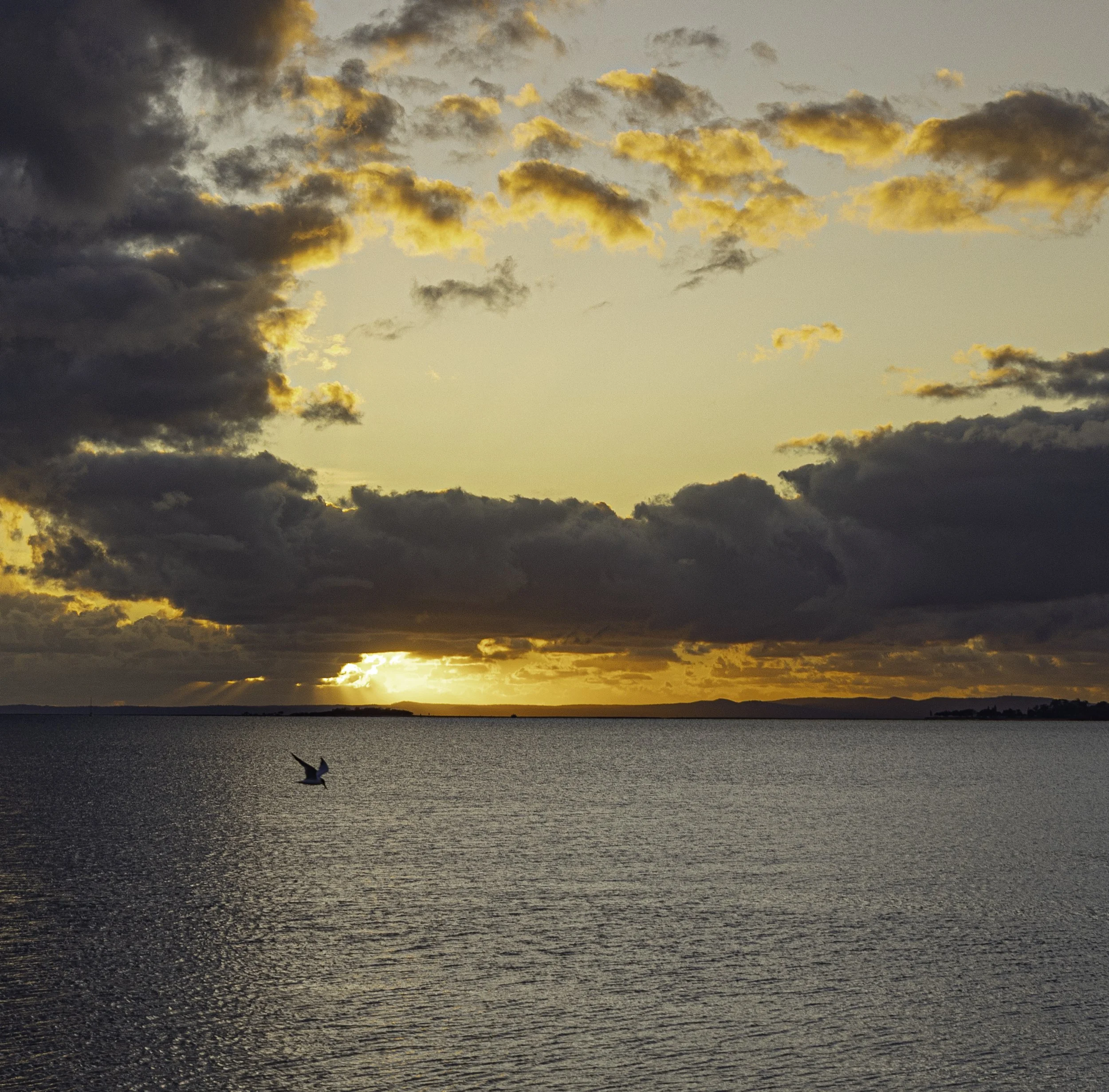 bay-0952.jpg