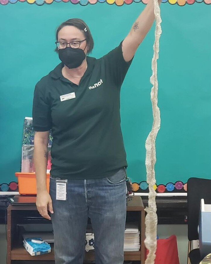 Stacey Vielma, Animal Care Specialist from the San Diego Natural History Museum shows the kids a gopher skin and spiders during this weeks kids camp! 

Because of your donations, we are able to provide summer camp for the children in Logan Heights.