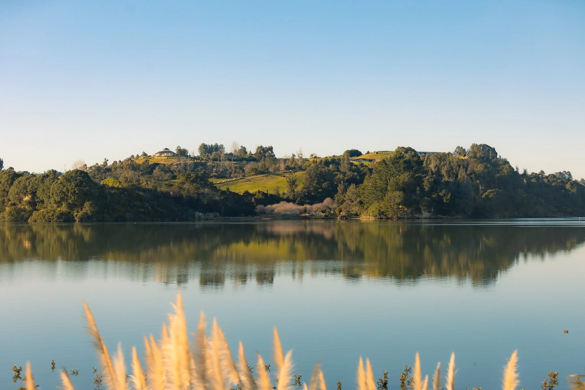 A serene lake with calm water reflecting the green wooded hills and clear blue sky above. In the foreground, tall beige grasses are visible.