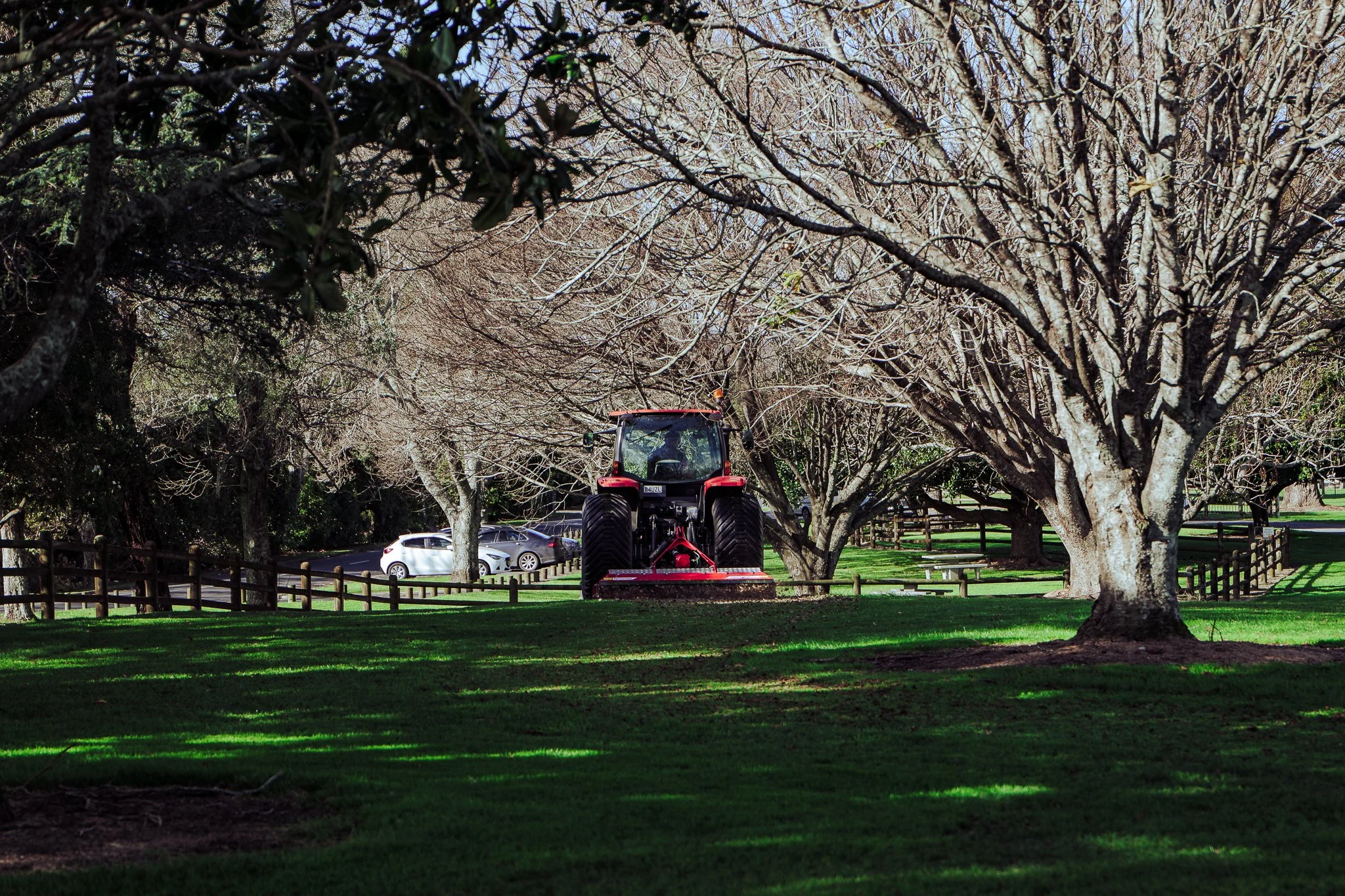 A red tractor mowing grass under leafless trees in a park with parked cars in the background.